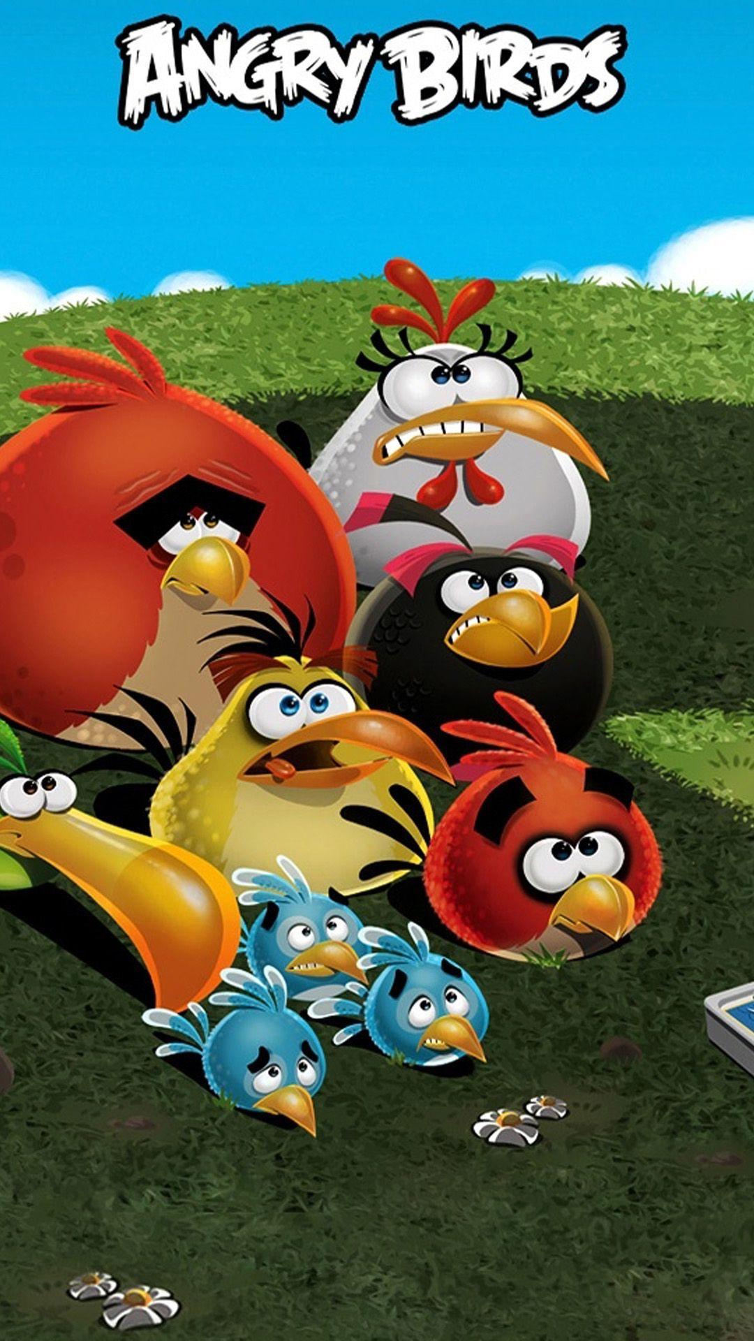 1080x1920 Angry Birds iPhone Wallpaper