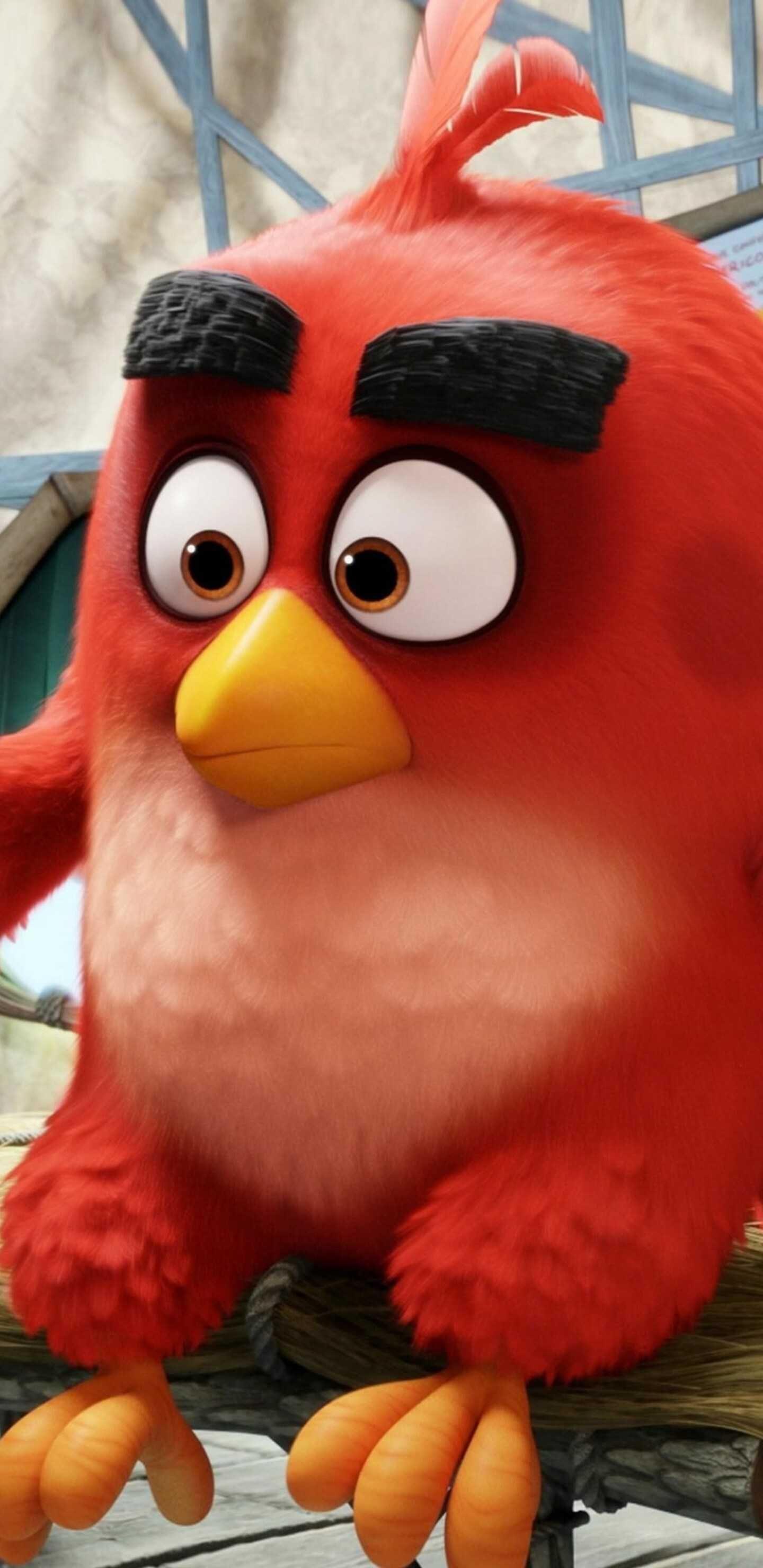 1440x2960 HD Angry Birds Wallpaper Discover more