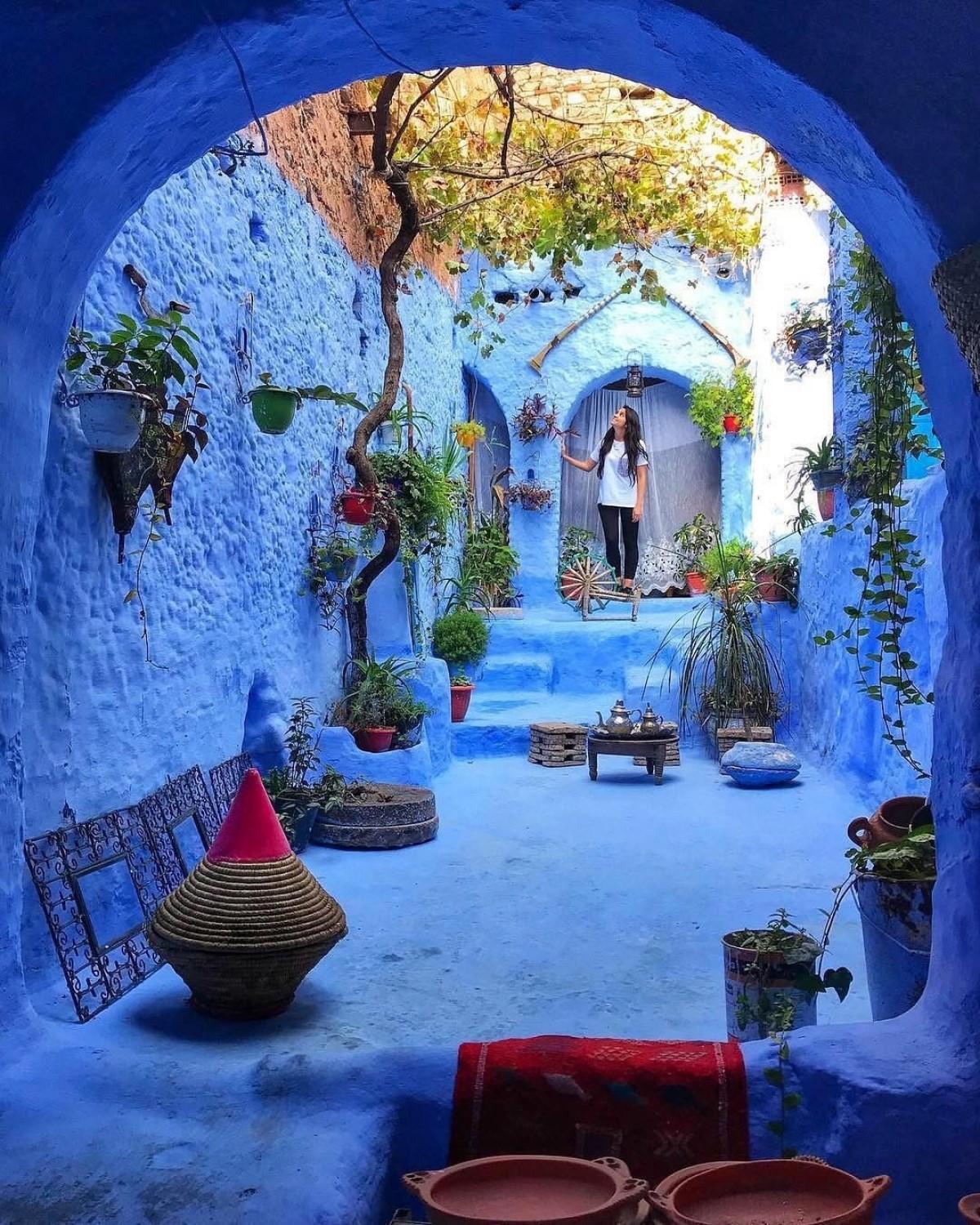 1200x1500 photography, portrait display, building, Morocco, architecture, plants, arch, flowerpot, women, old building, blue, trees Gallery HD Wallpaper
