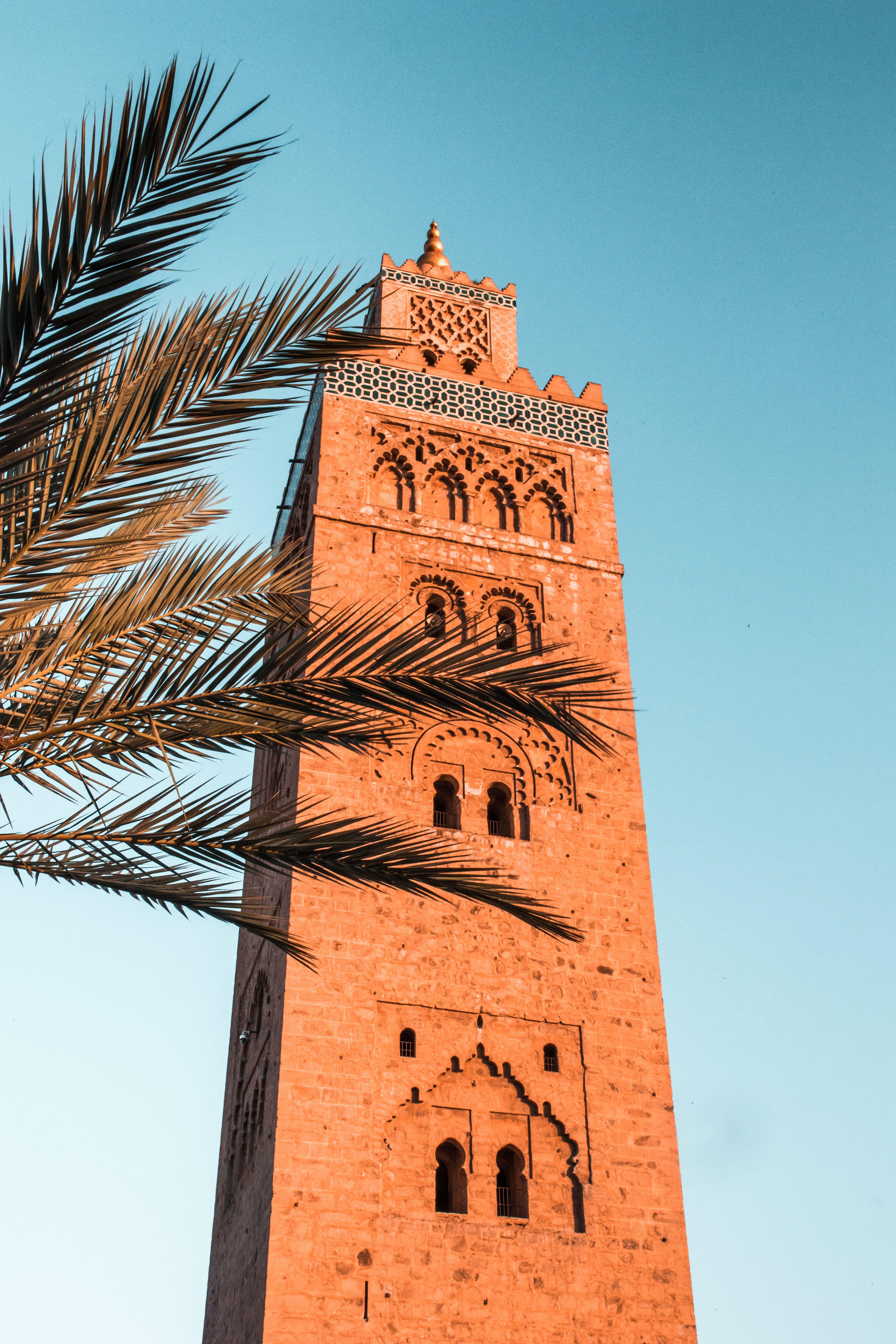 4000x6000 morocco #marrakech koutoubia mosque #palm #tree #blue #sky #marrakesh #jamaelfna #town #tower #koutoub. Morocco aesthetic, Marrakech morocco aesthetic, Marrakech