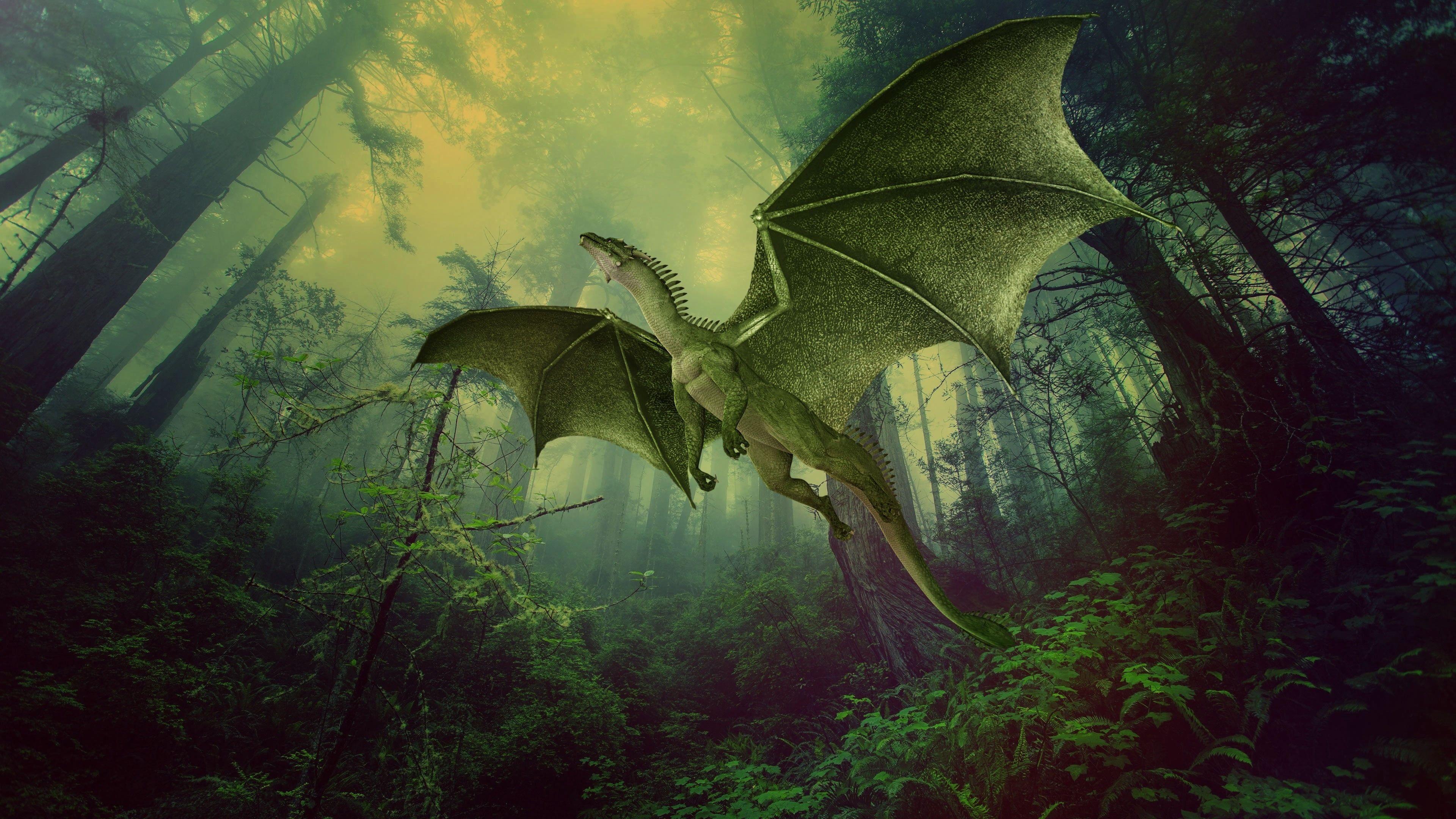 3840x2160 green #dragon #forest mythical creature #jungle fictional character old growth forest #wildlife #darkness K #wallp. Mythical creatures, Green dragon, Creatures