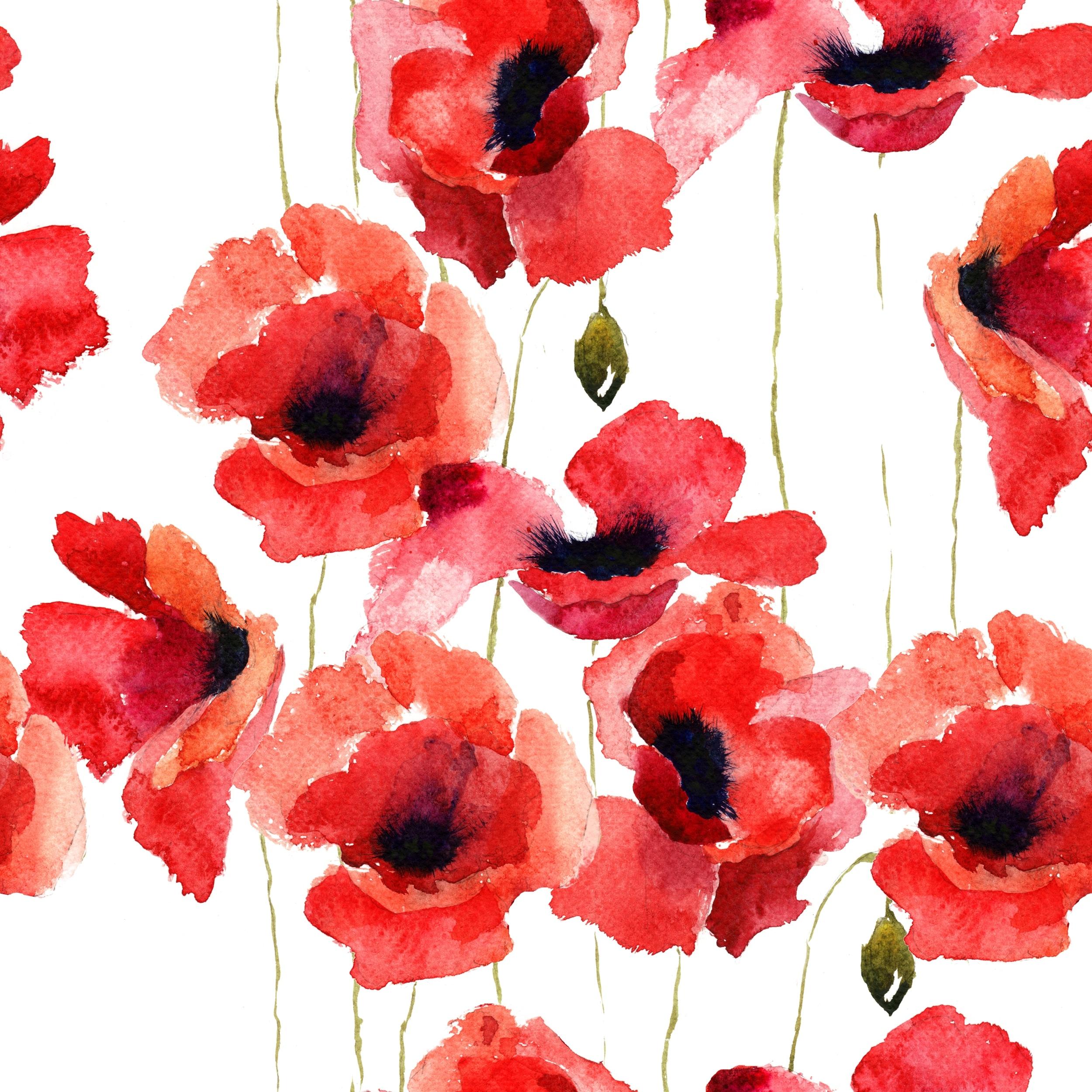 2500x2500 Karisma Red Poppy Seamless Removable Wallpaper inch x 10undefinedft
