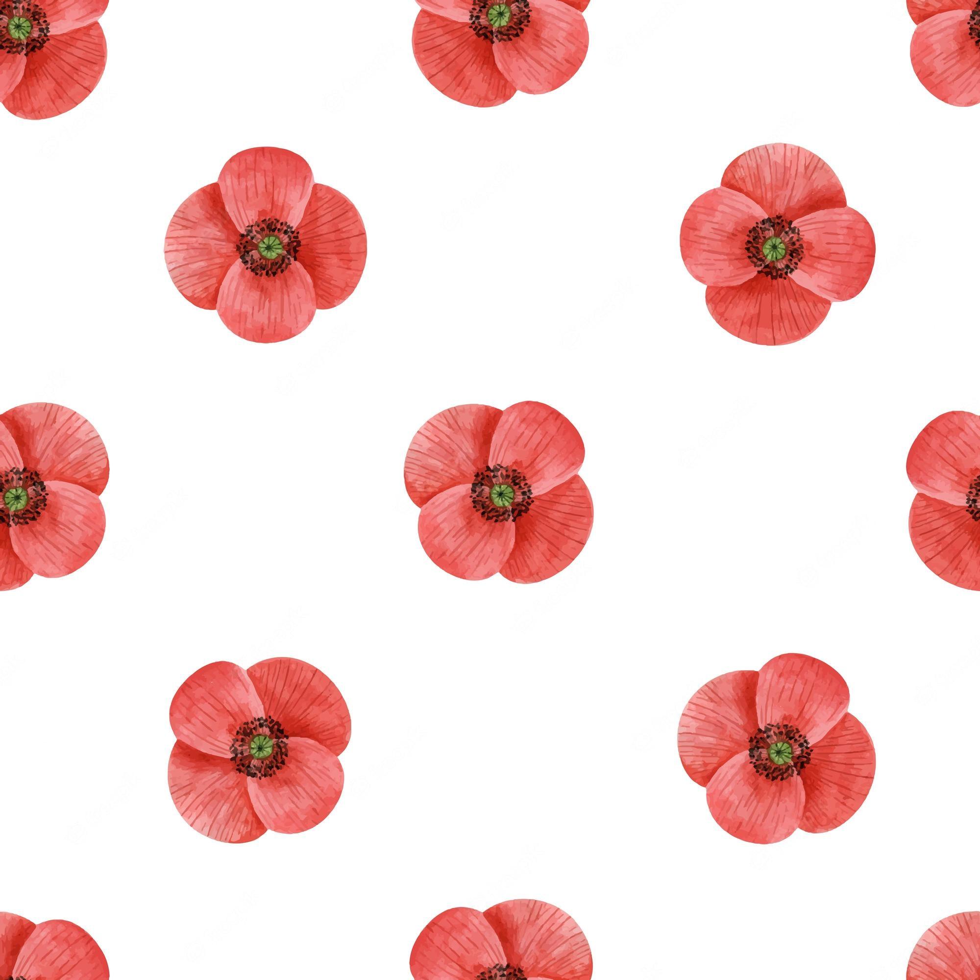 2000x2000 Premium Vector. Poppy flower seamless pattern watercolor hand drawn poppy flowers wallpaper fabric design simple rustic botanical background