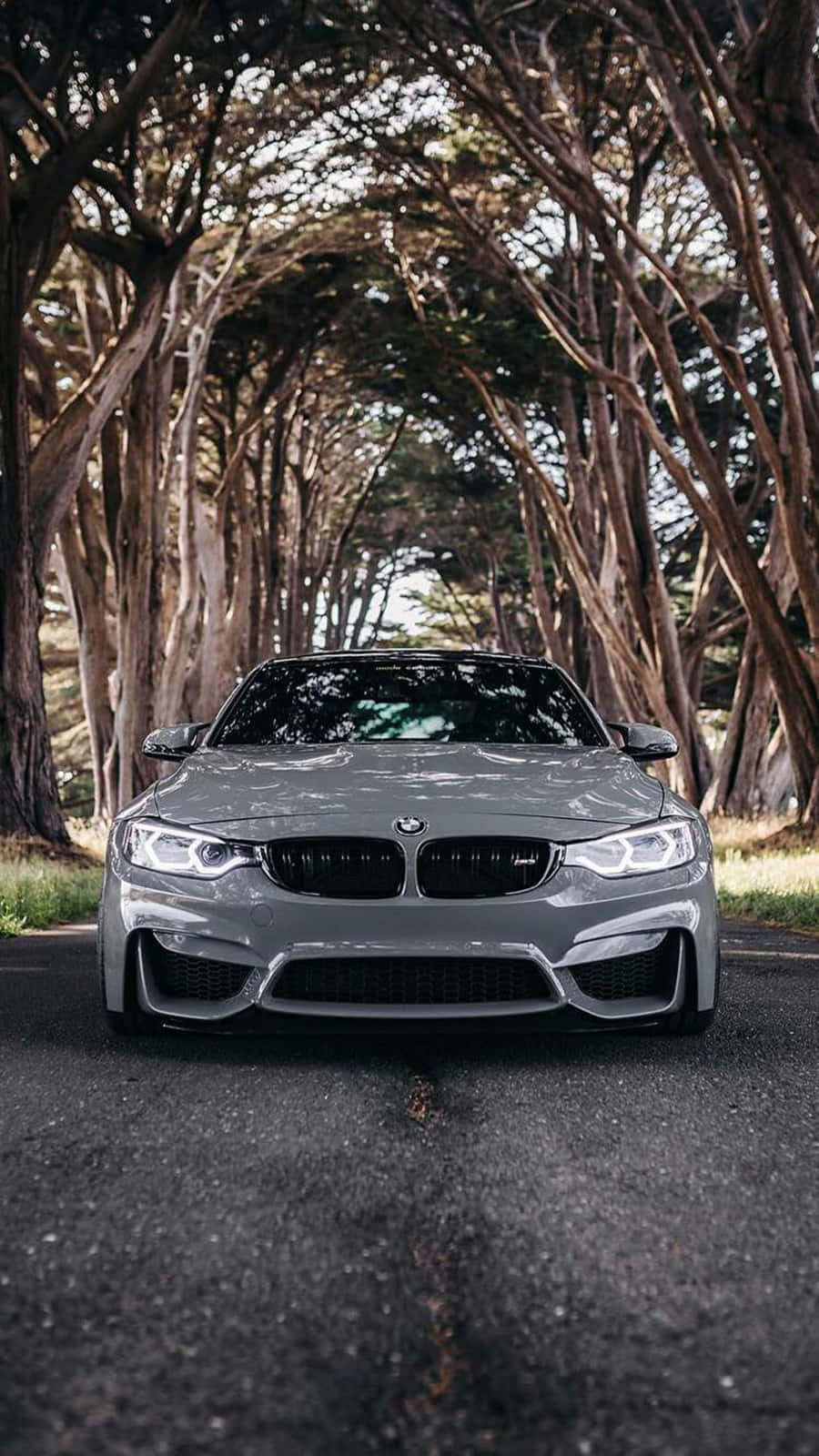 900x1600 Download Pixel 3 Bmw M4 In Silverstone Metallic Ii Background