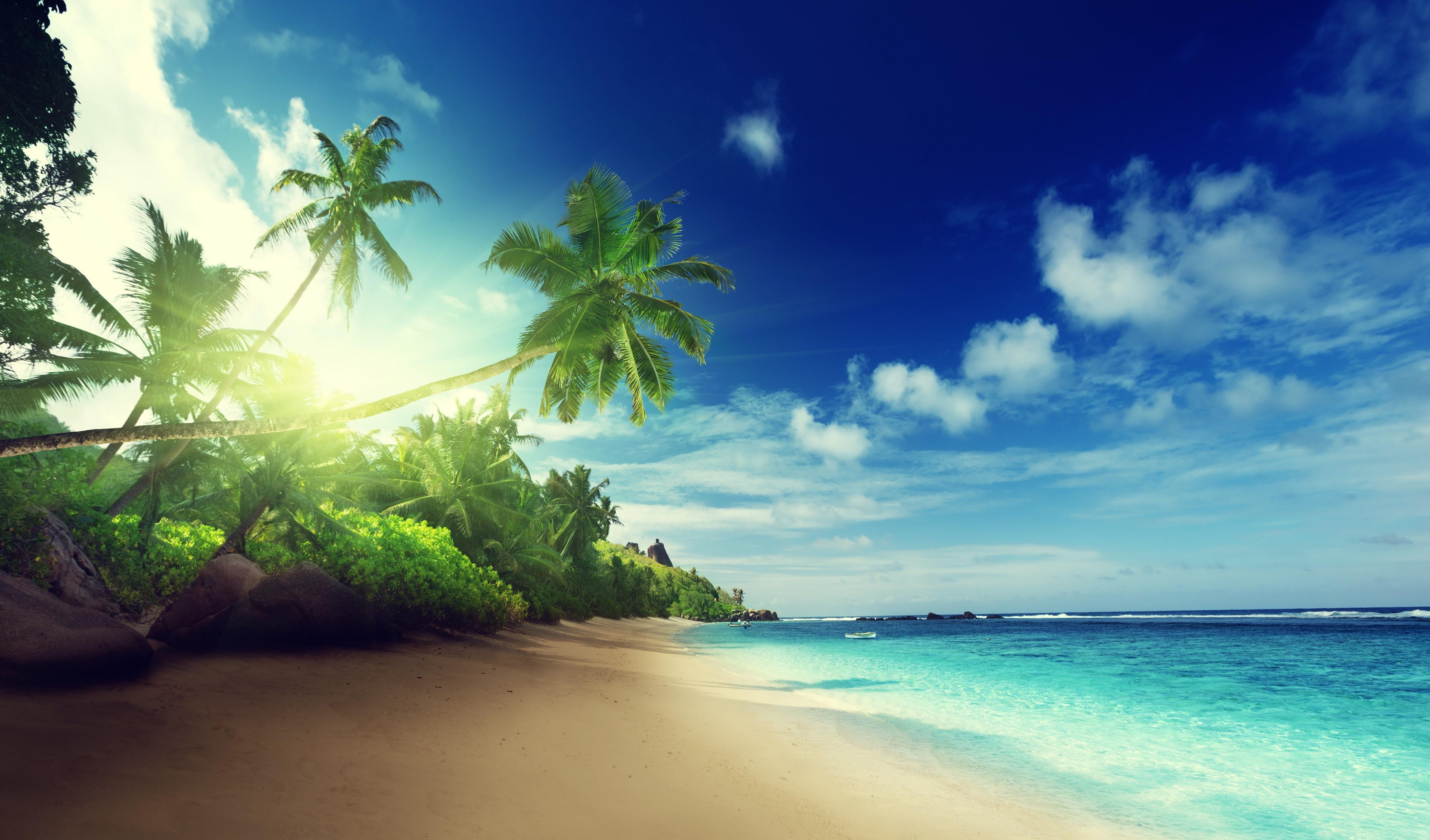 4600x2703 Wallpaper / 4K, palm trees, island, paradise, Ocean, summer, palm, trees, beach, illustration, sun, vacation, sand, blue, tropical, emerald, coast, Sea free download