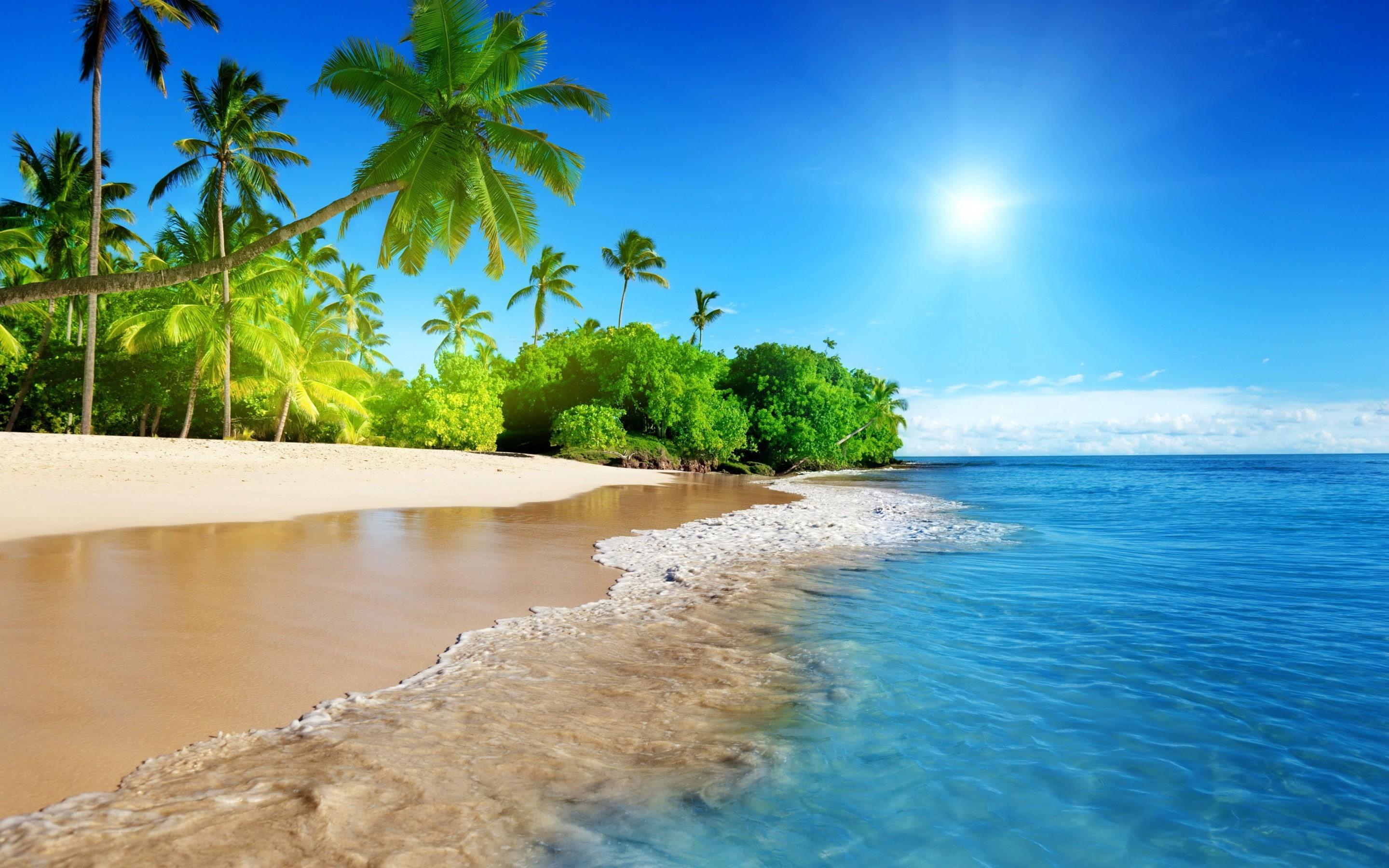 2880x1800 Wallpaper / Sea, vacation, 2K, paradise, emerald, sand, palm, summer, sky, seashore, sunshine, blue, beach, tropical, coast, Ocean free download