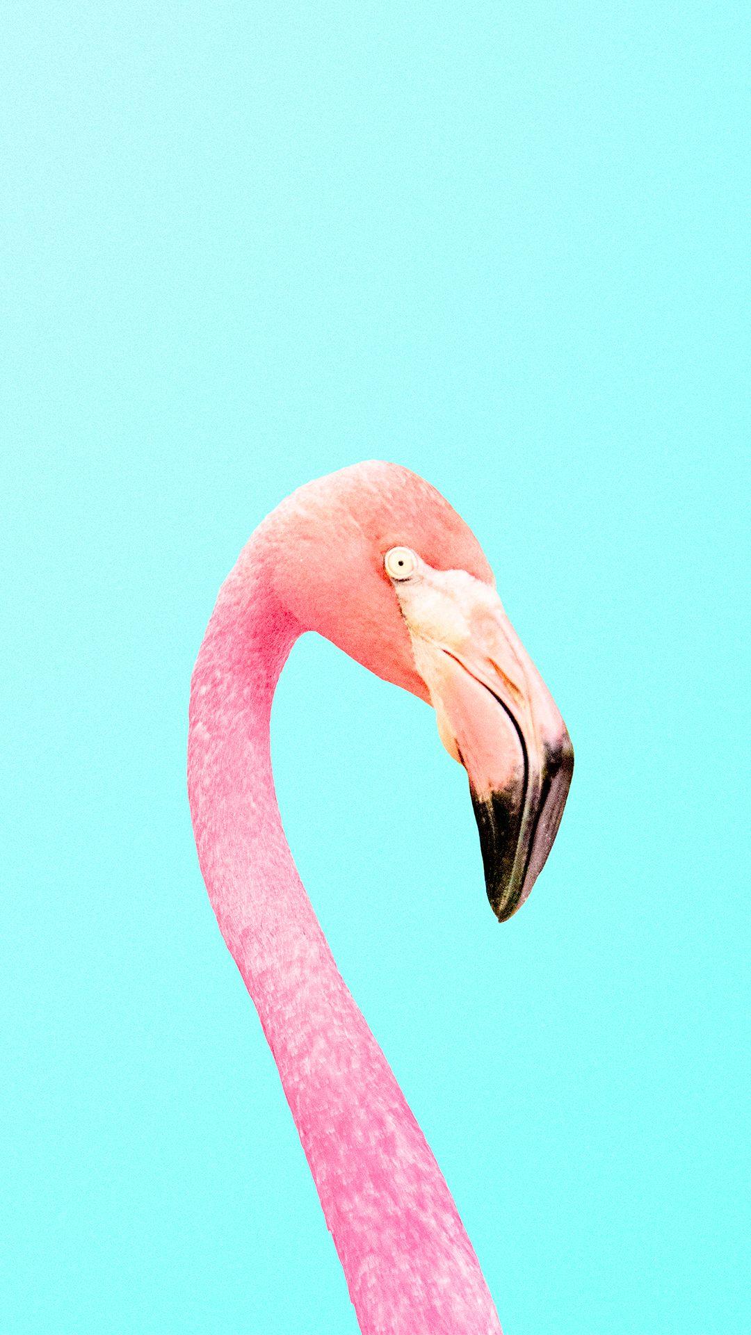 1080x1920 Download Your Favorite Candyminimal To Your Phone Wallpaper