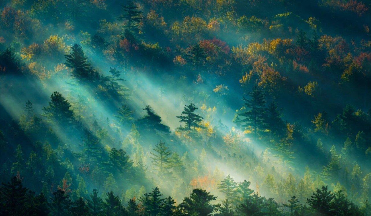 1303x760 Best of Landscape