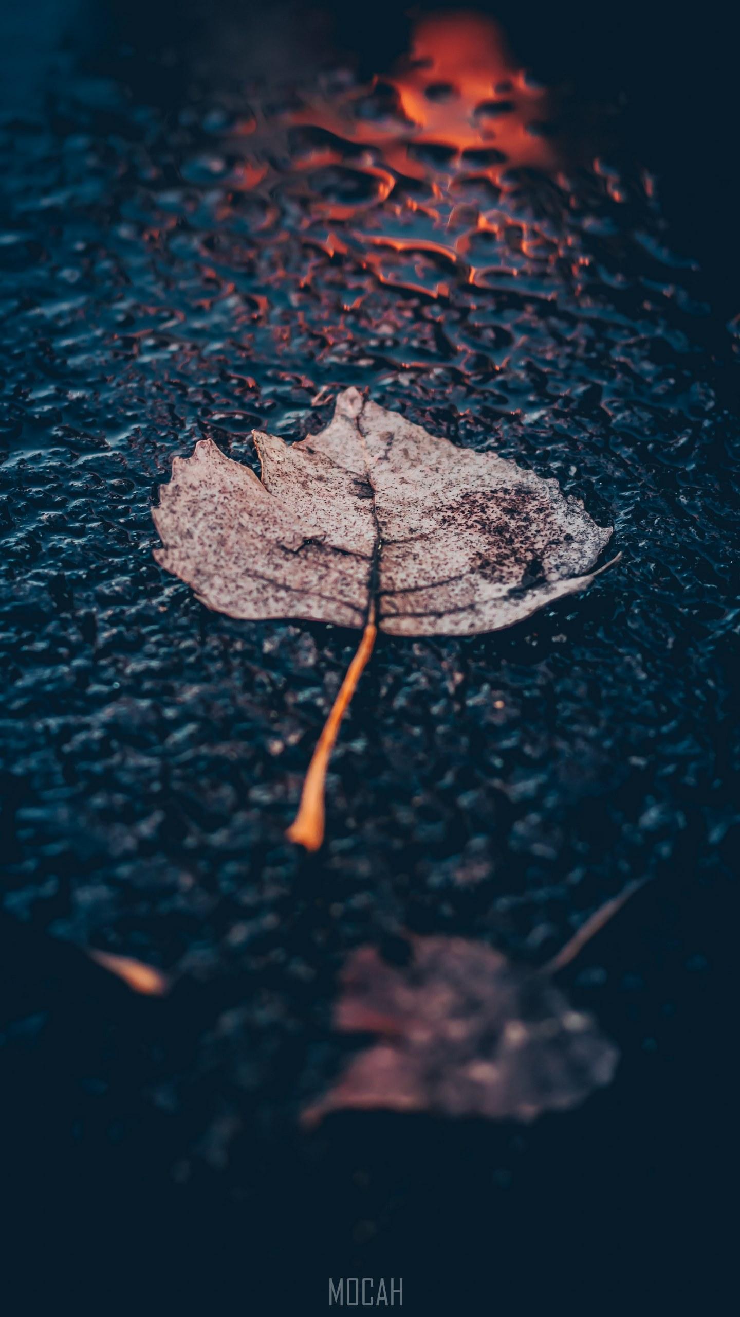 1440x2560 once you fall you will be back up again_, Samsung Galaxy Note 2 N7100 screensaver hd, 720x1280 Gallery HD Wallpaper