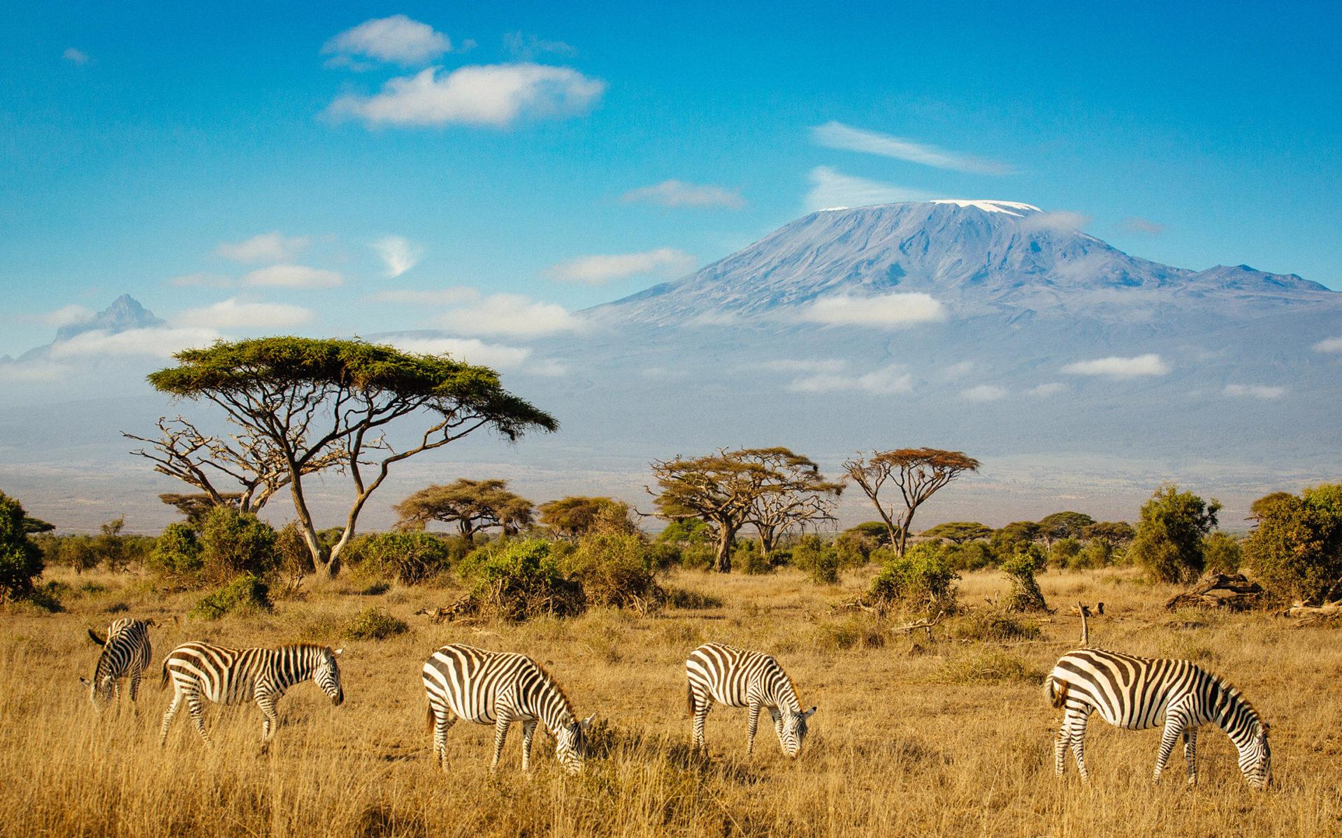 Kenya Desktop Wallpapers - Top Free Kenya Desktop Backgrounds ...