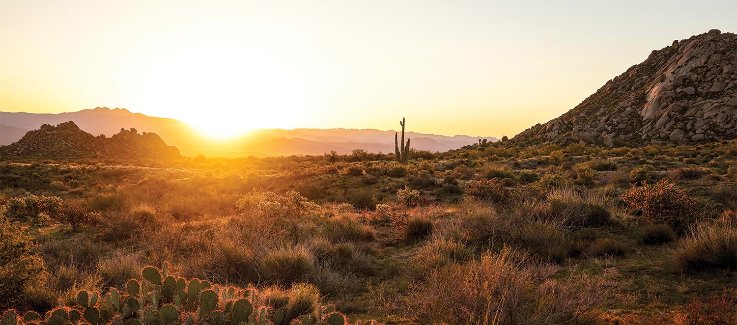 1500x662 Best Photohoot Locations in Scottsdale. Official Travel Site for Scottsdale, Arizona