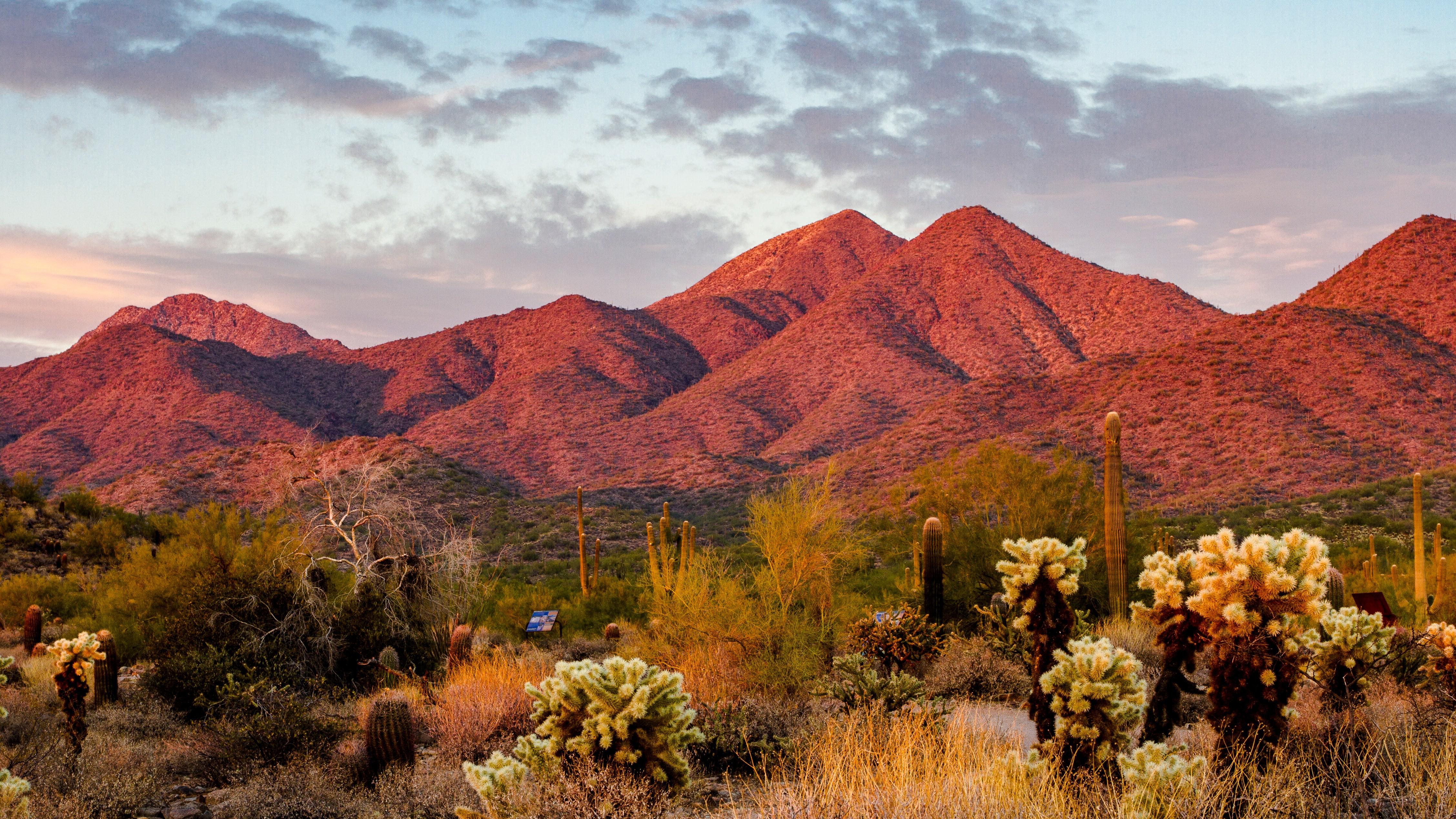 4511x2537 A Design Lover's Guide to Scottsdale, Arizona—Frank Lloyd Wright's Favorite Desert Town