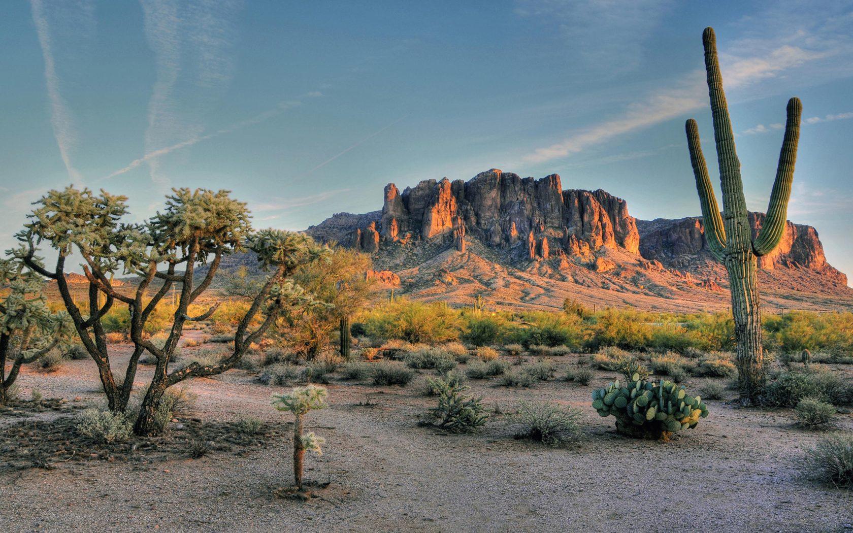 1680x1050 Superstition Mountains Mountain Range In Field Phoenix Arizona Usa Landscape Desert Landscapes Download All 4k Wallpaper Image For Your Desktop Background :