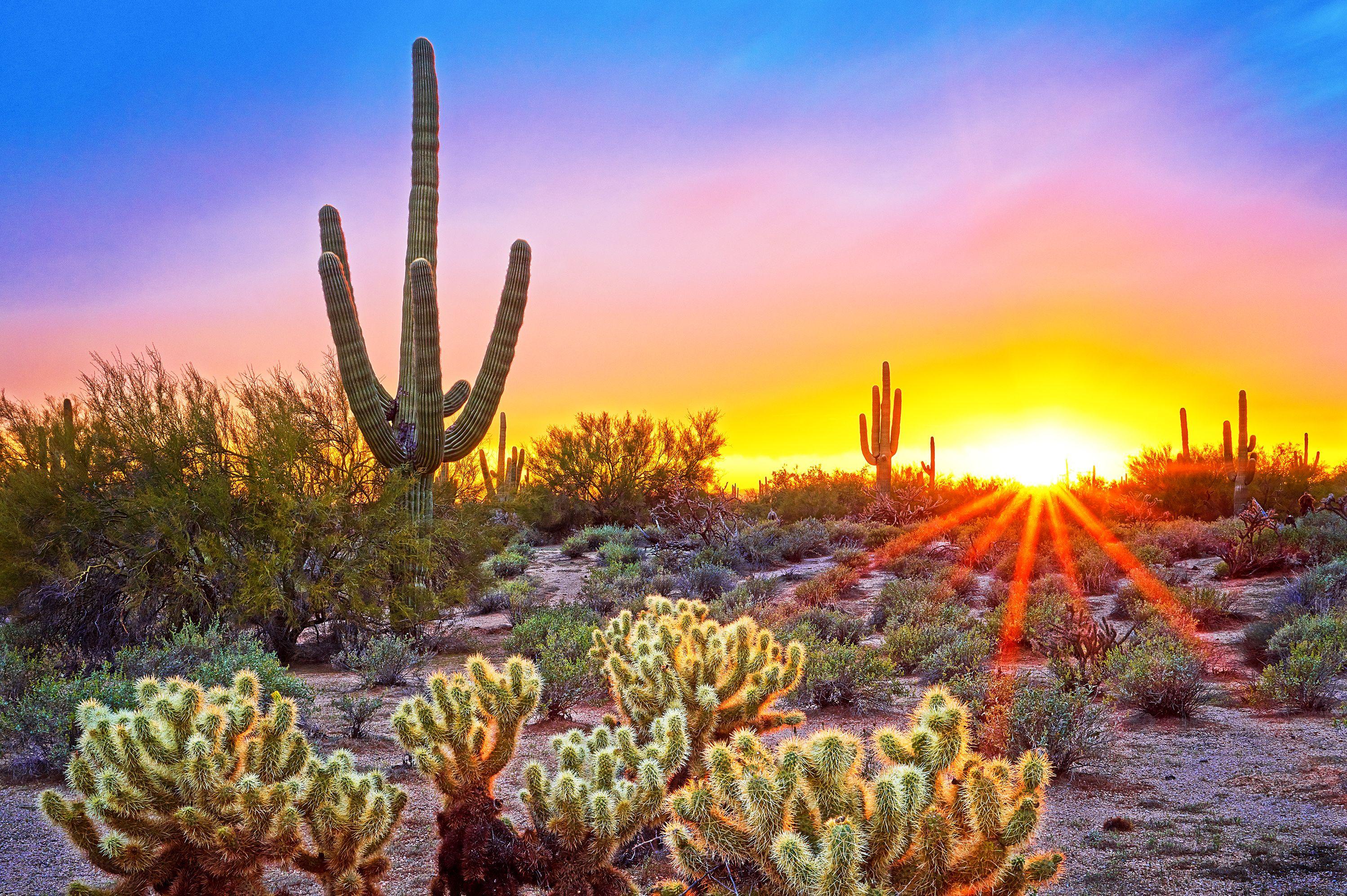 Scottsdale Arizona Wallpapers - Top Free Scottsdale Arizona Backgrounds ...