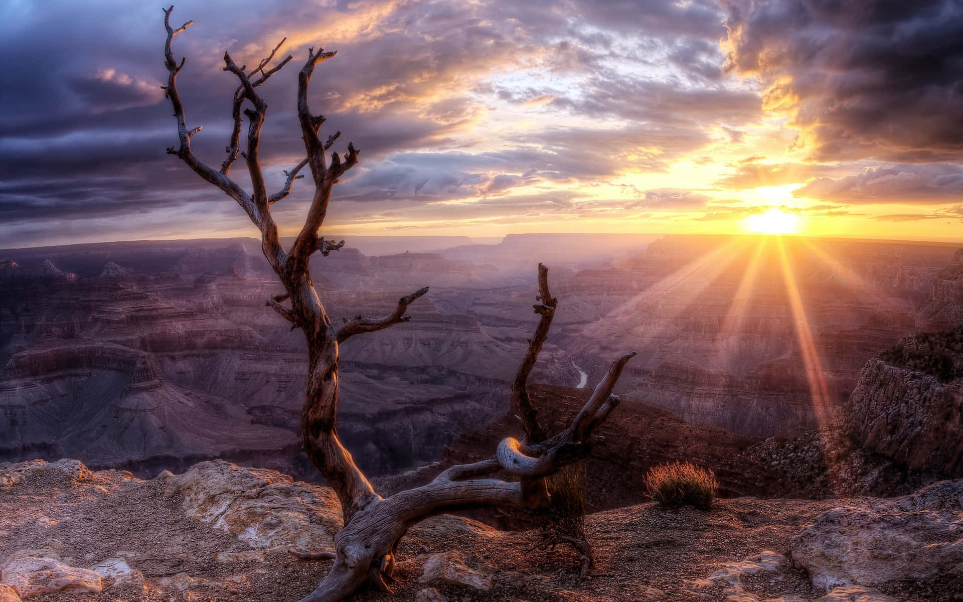 1920x1200 Free Phoenix Arizona Wallpaper Downloads, Phoenix Arizona Wallpaper for FREE