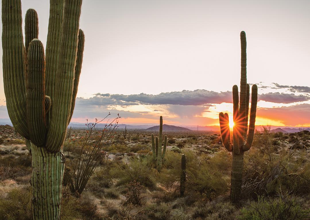 1080x766 Things To Do in Scottsdale, Arizona's Desert Playground
