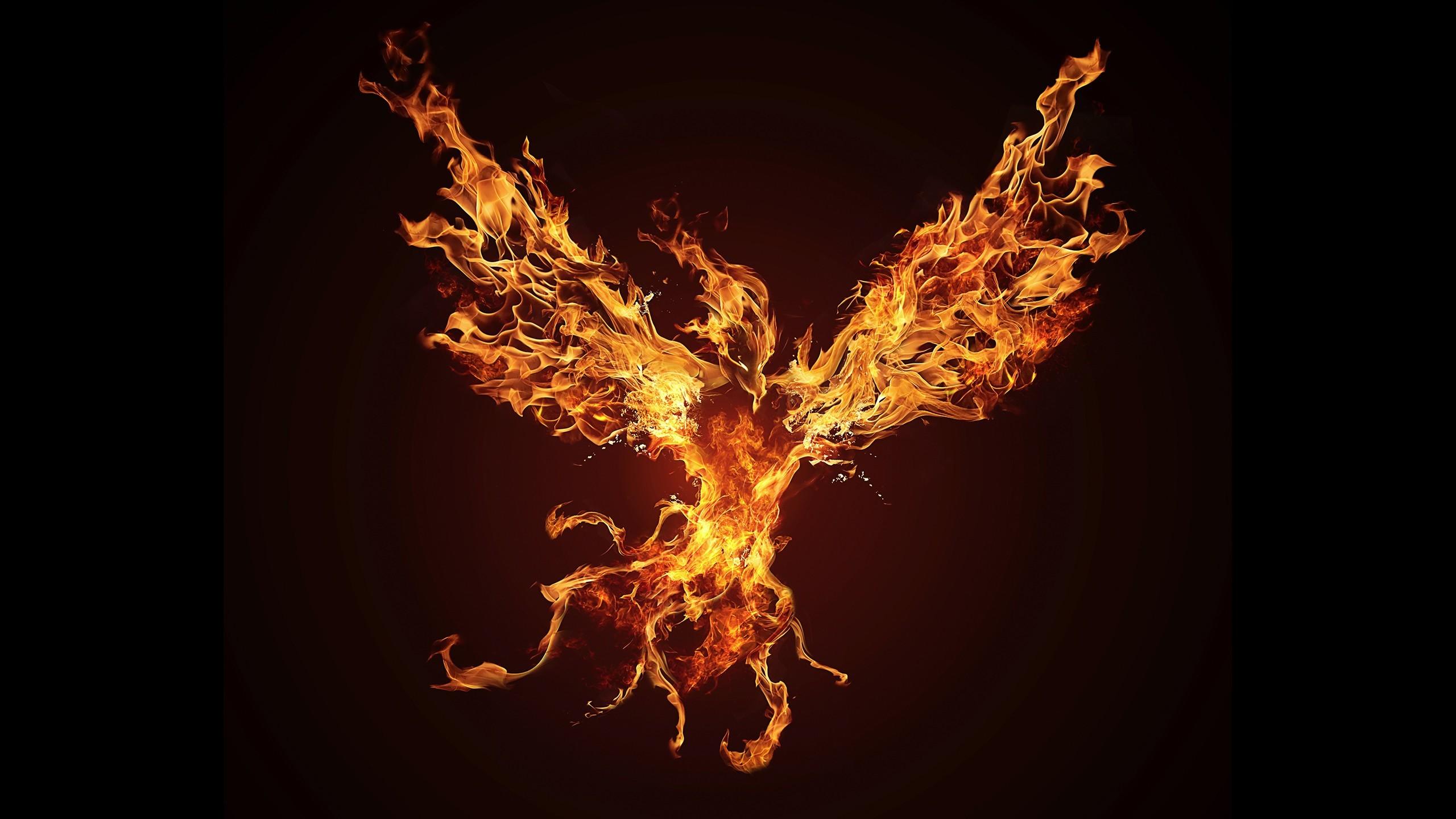 2560x1440 Phoenix Arizona Wallpaper