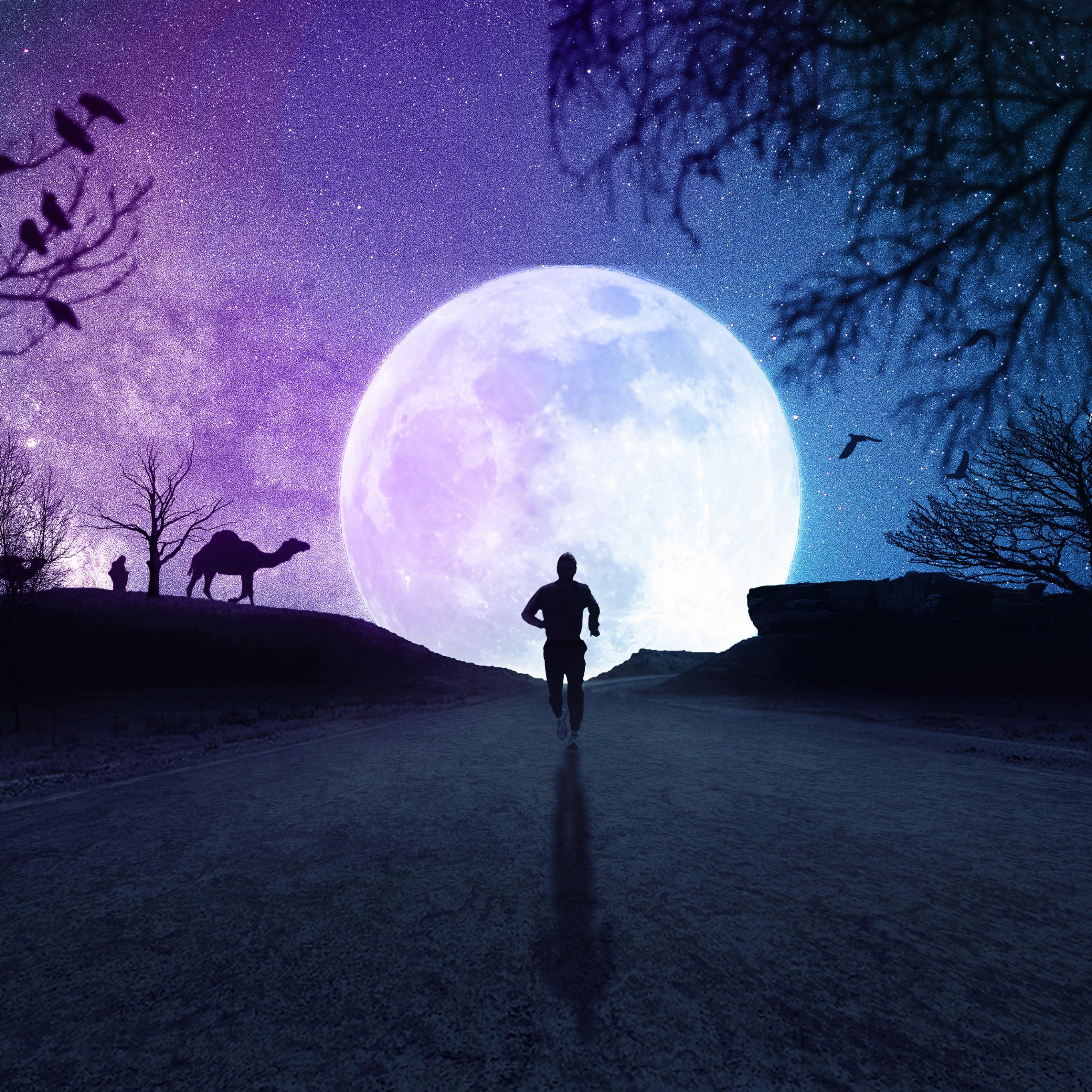HD wallpaper wolf howling on mountain under full moon rock the moon  silhouette  Wallpaper Flare