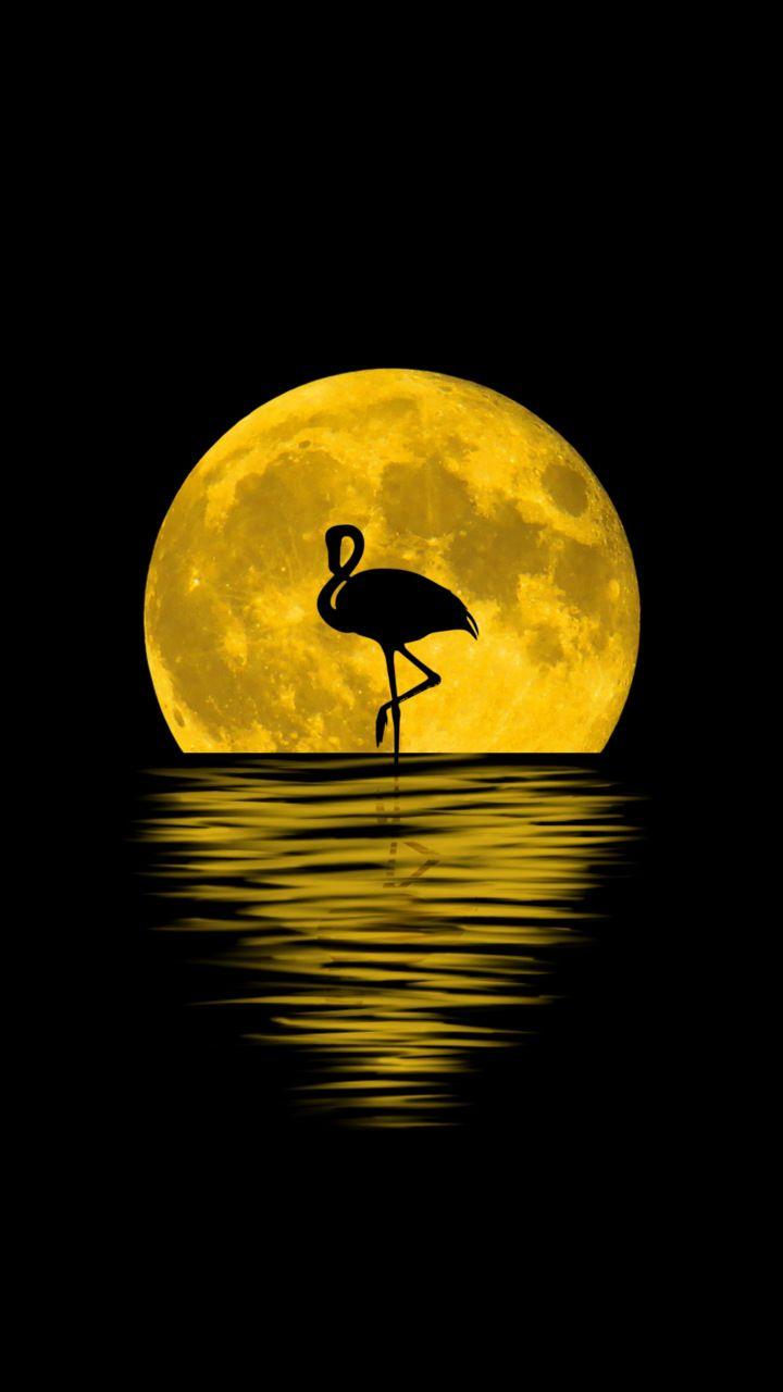 720x1280 Flamingo, moon, silhouette, reflections, digital art, 720x1280 wallpaper. Arte de aves, Pintura silueta, Arte abstracto sobre lienzo