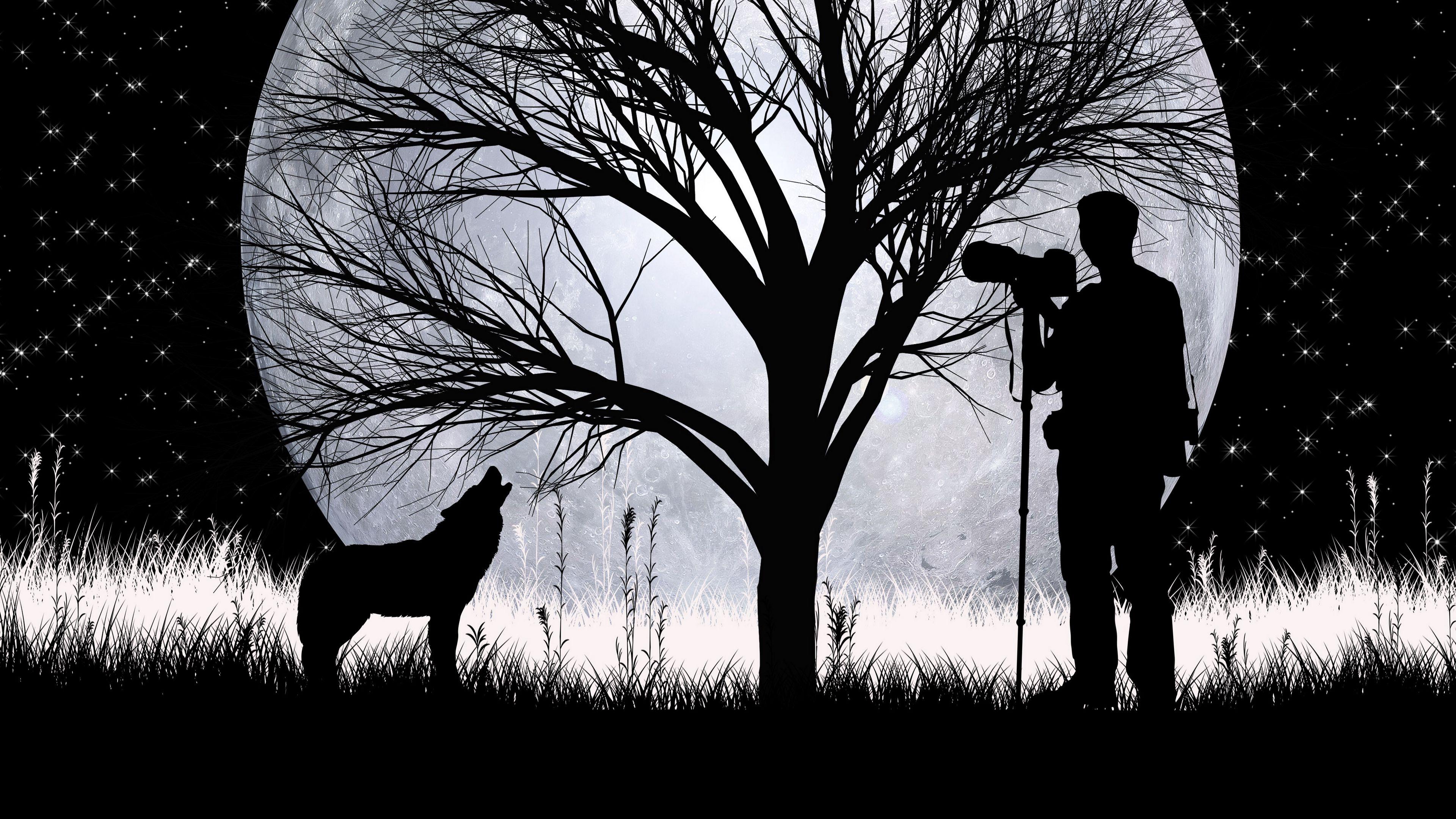 3840x2160 Wallpaper / wolf, full moon, silhouettes, art, vector, photographer, 4k free download