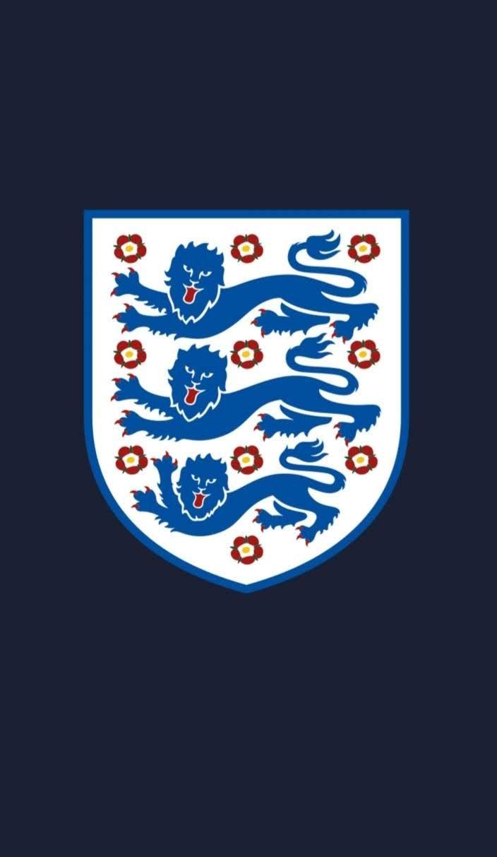 704x1213 Felino. England football team, England national football team, England badge