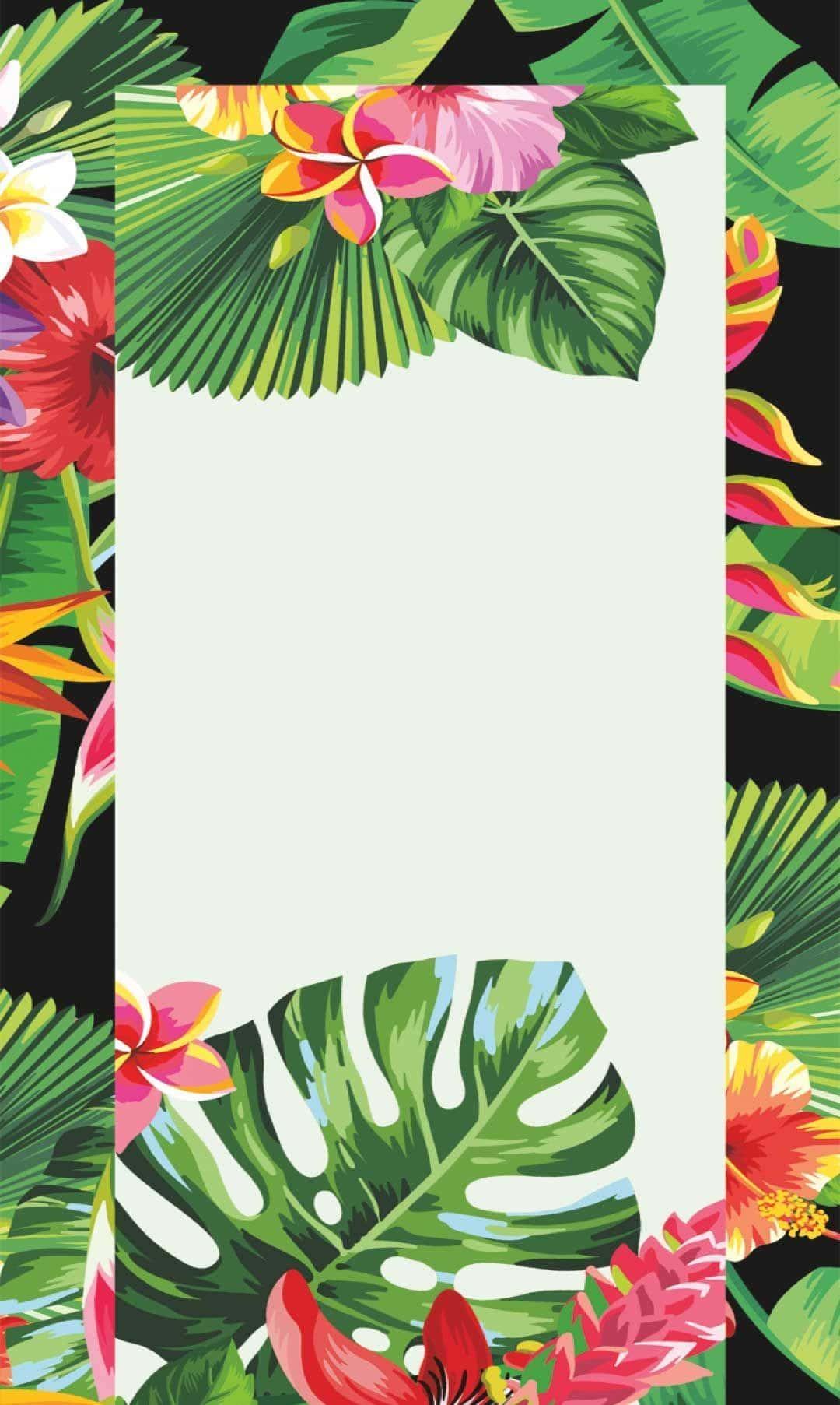 Tropical Flower Wallpapers Top Free Tropical Flower Backgrounds