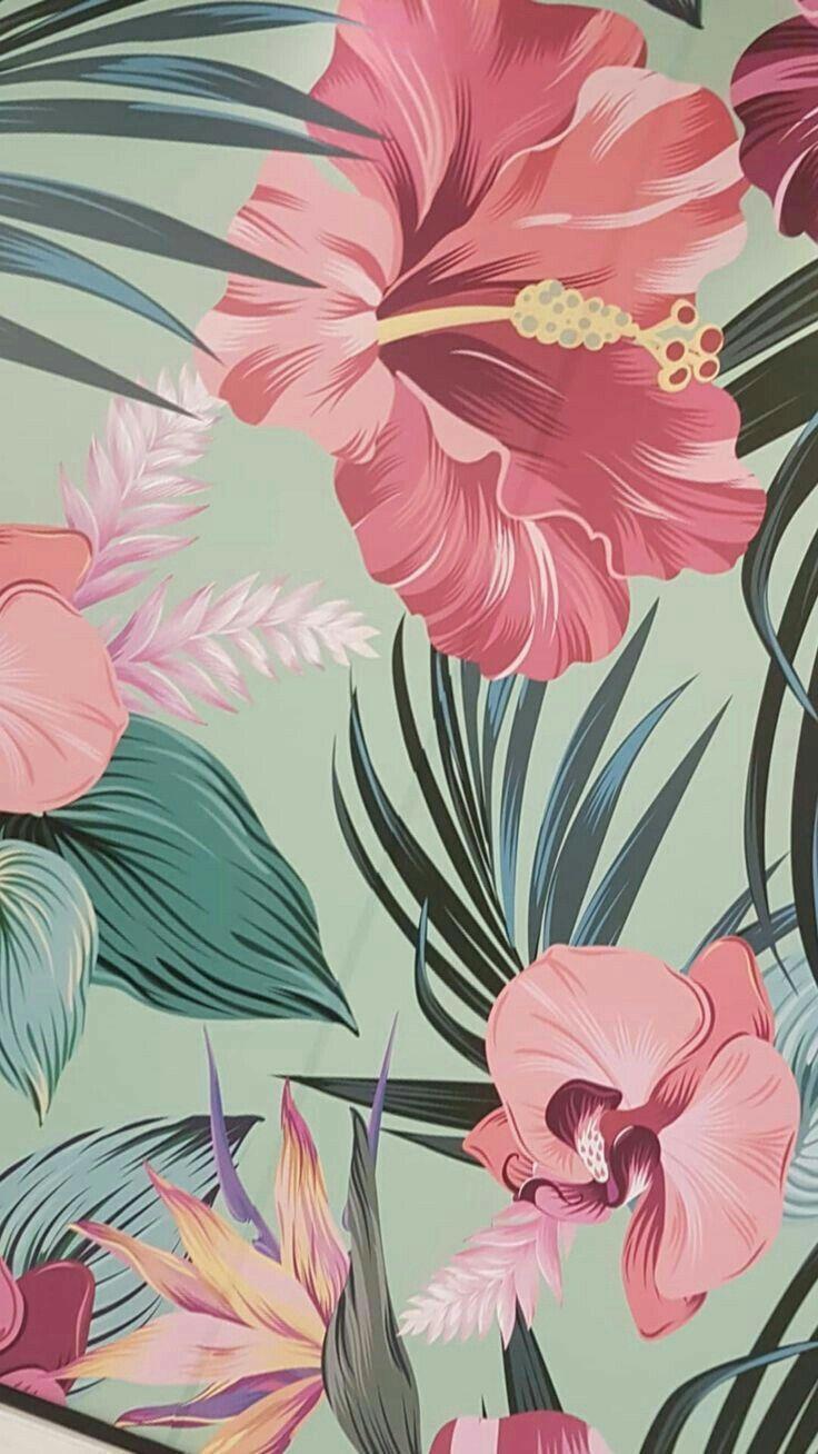 736x1308 Hawaiiaanse hibiscus, roze, bloem, hibiscus, plant, plantkunde #behangpapier #woonkame. Floral wallpaper, iPhone background wallpaper, Tropical wallpaper