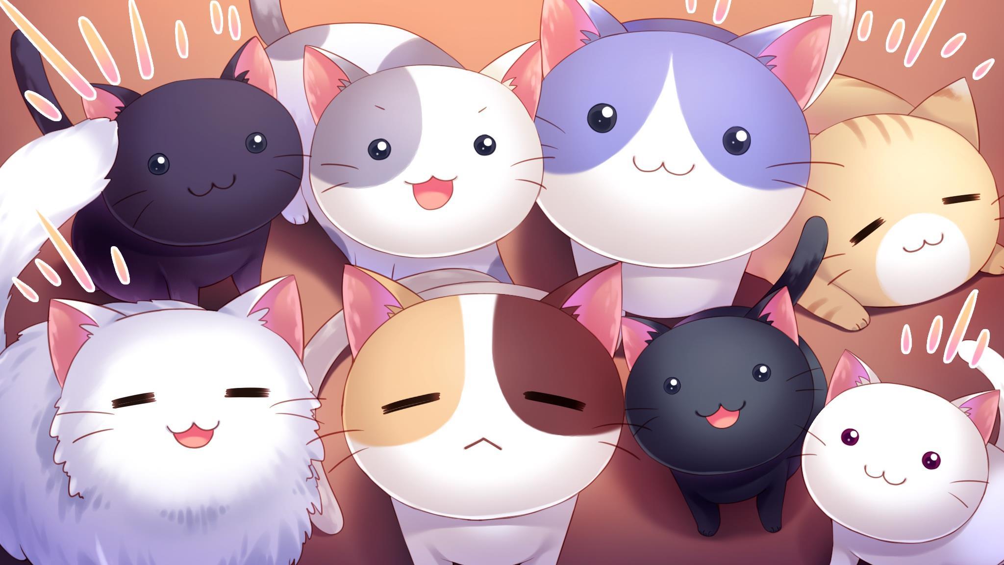 2048x1152 Cute Cat Anime Wallpaper