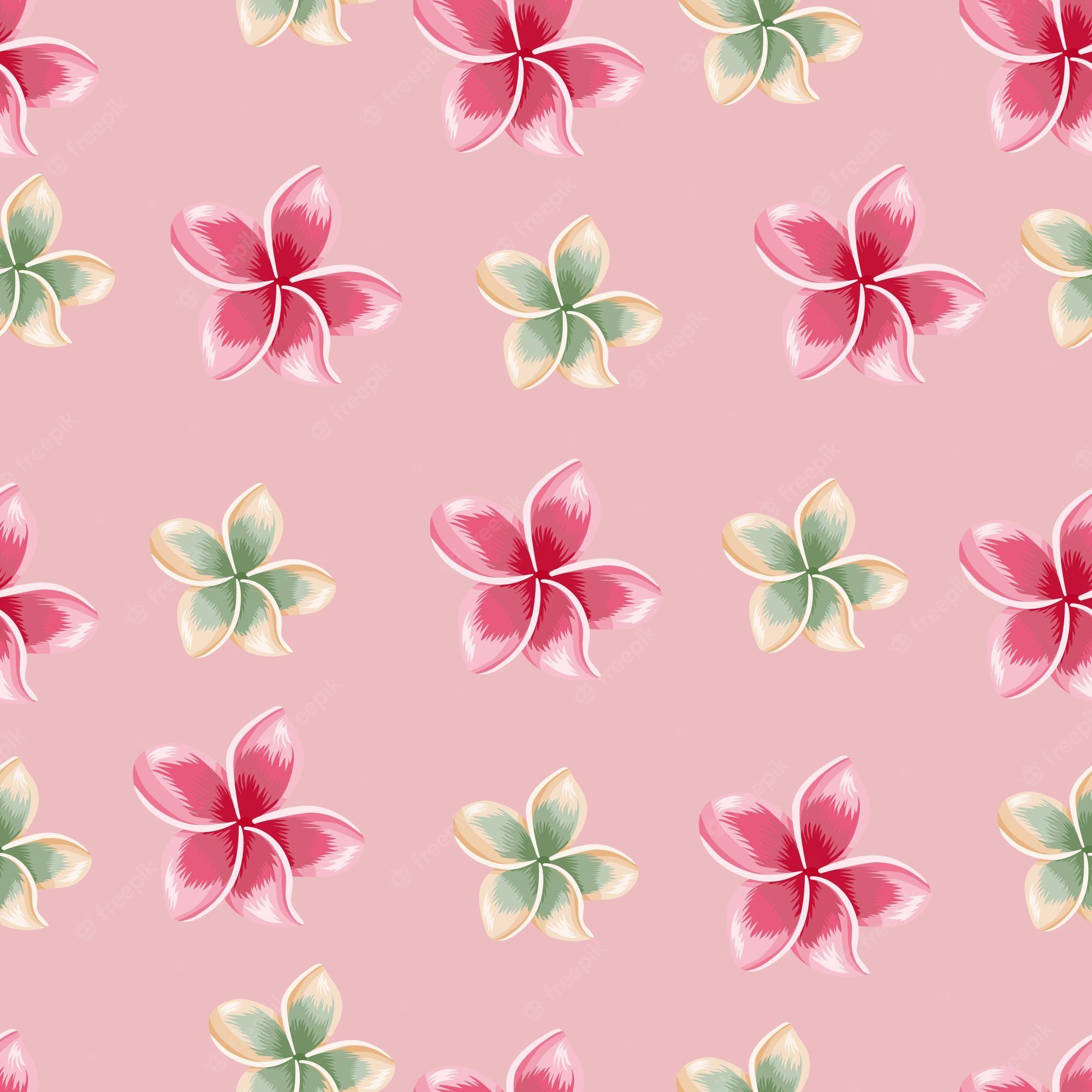 2000x2000 Premium Vector. Exotic blooming plumeria seamless pattern on pink background. tropical flowers wallpaper. abstract botanical backdrop. design for fabric, textile print, wrapping, cover. vector illustration
