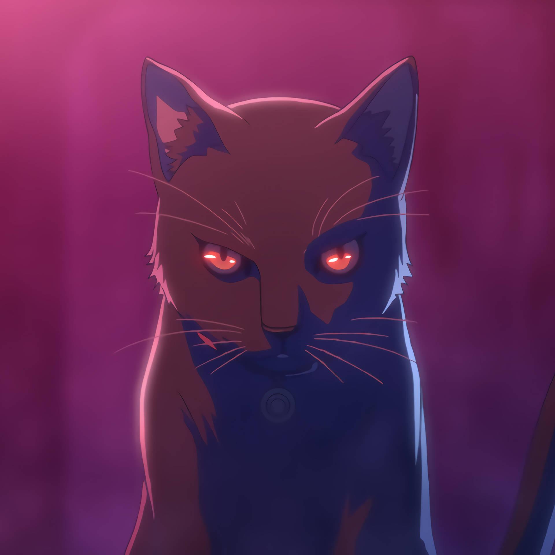 1920x1920 Free Anime Cat Wallpaper Downloads, Anime Cat Wallpaper for FREE