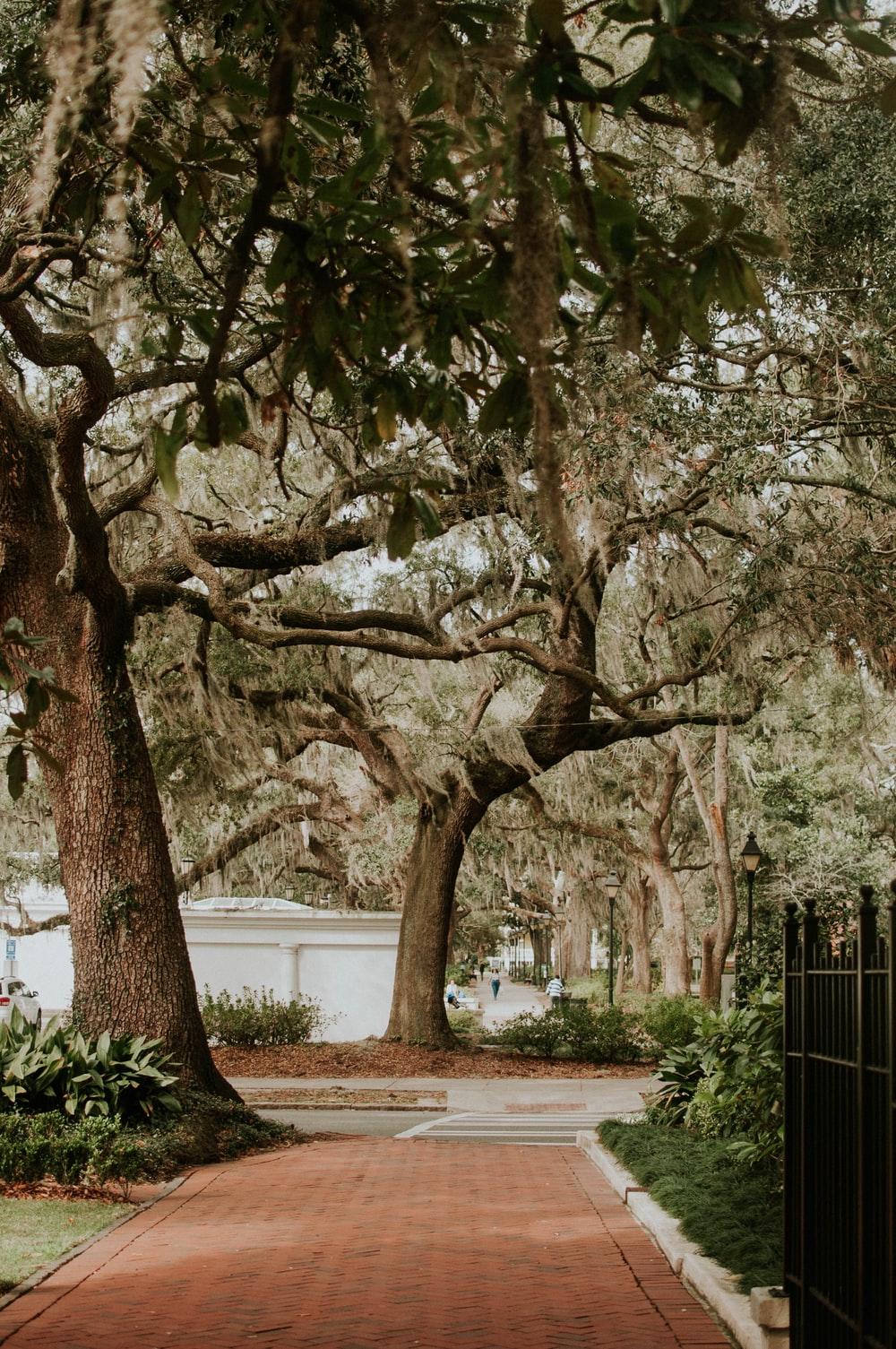 1000x1505 Savannah Georgia Wallpaper