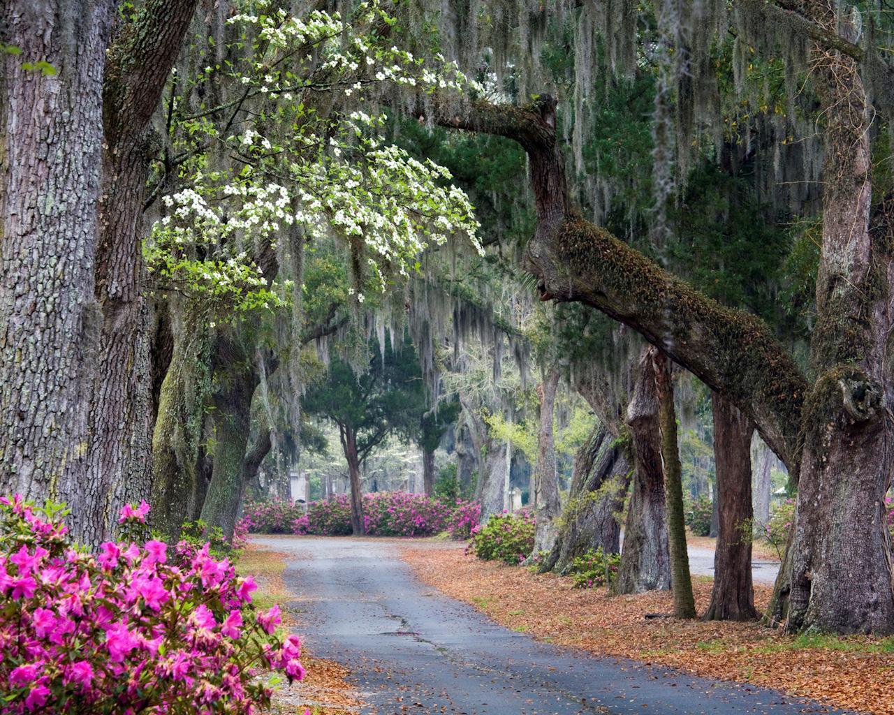 1280x1024 Wallpaper Savannah GA