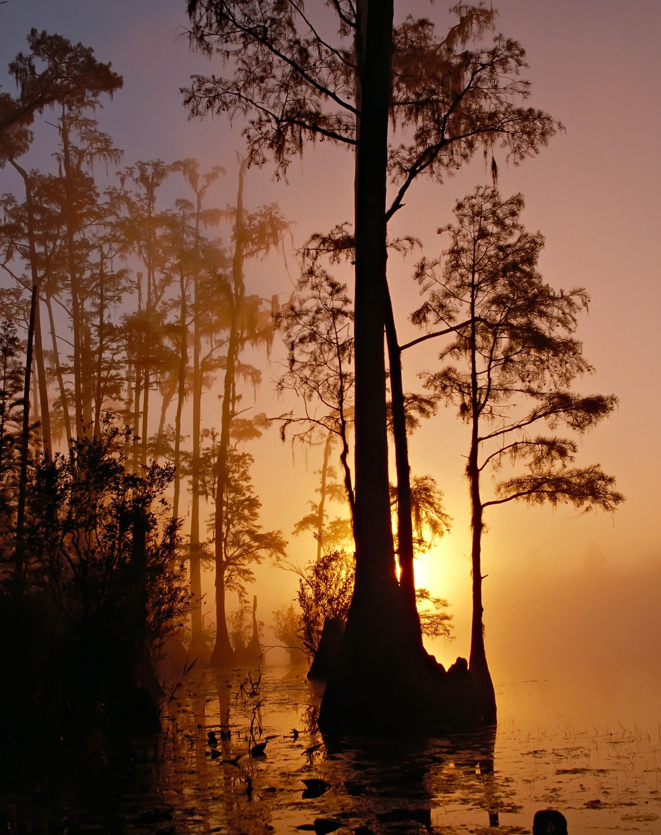 2316x2924 Wallpaper / savannah georgia 4k wallpaper free download