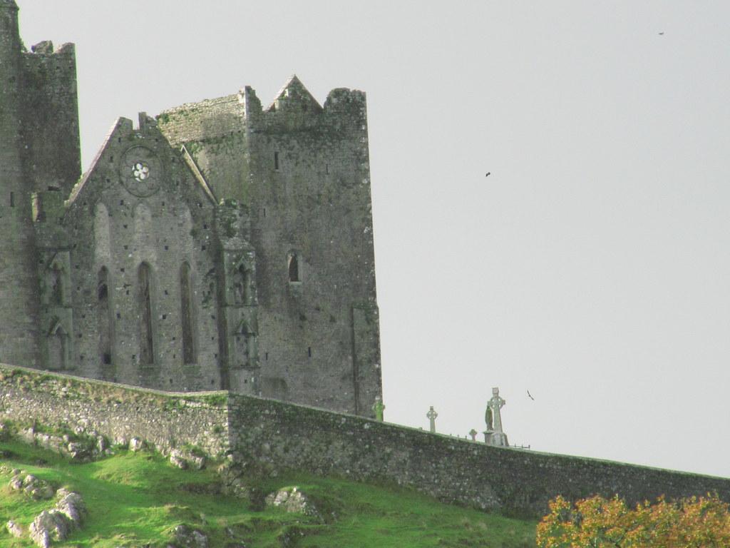 1024x768 The birds at the Rock of Cashel meant business. We visit