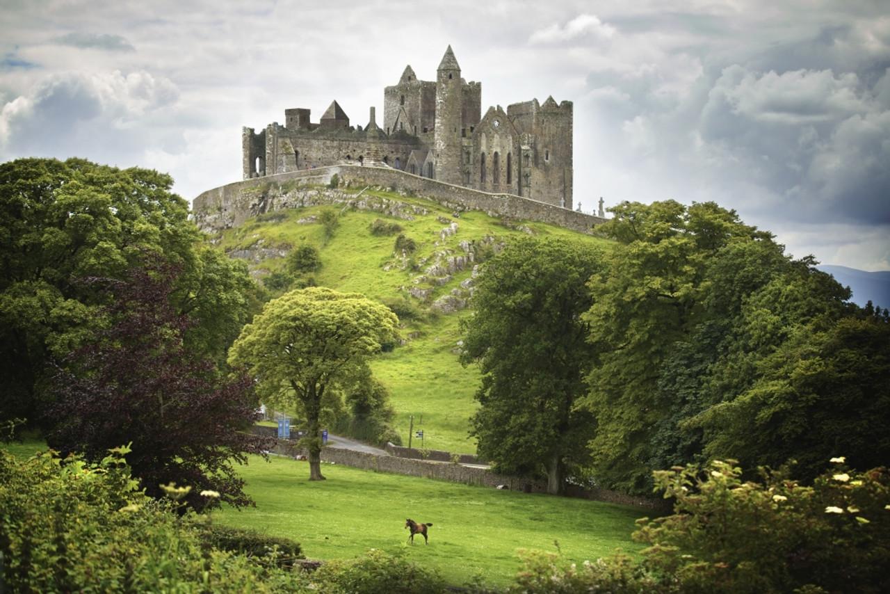 1280x854 Rock Of Cashel; Cashel County Tipperary Ireland PosterPrint # VARDPI1964728
