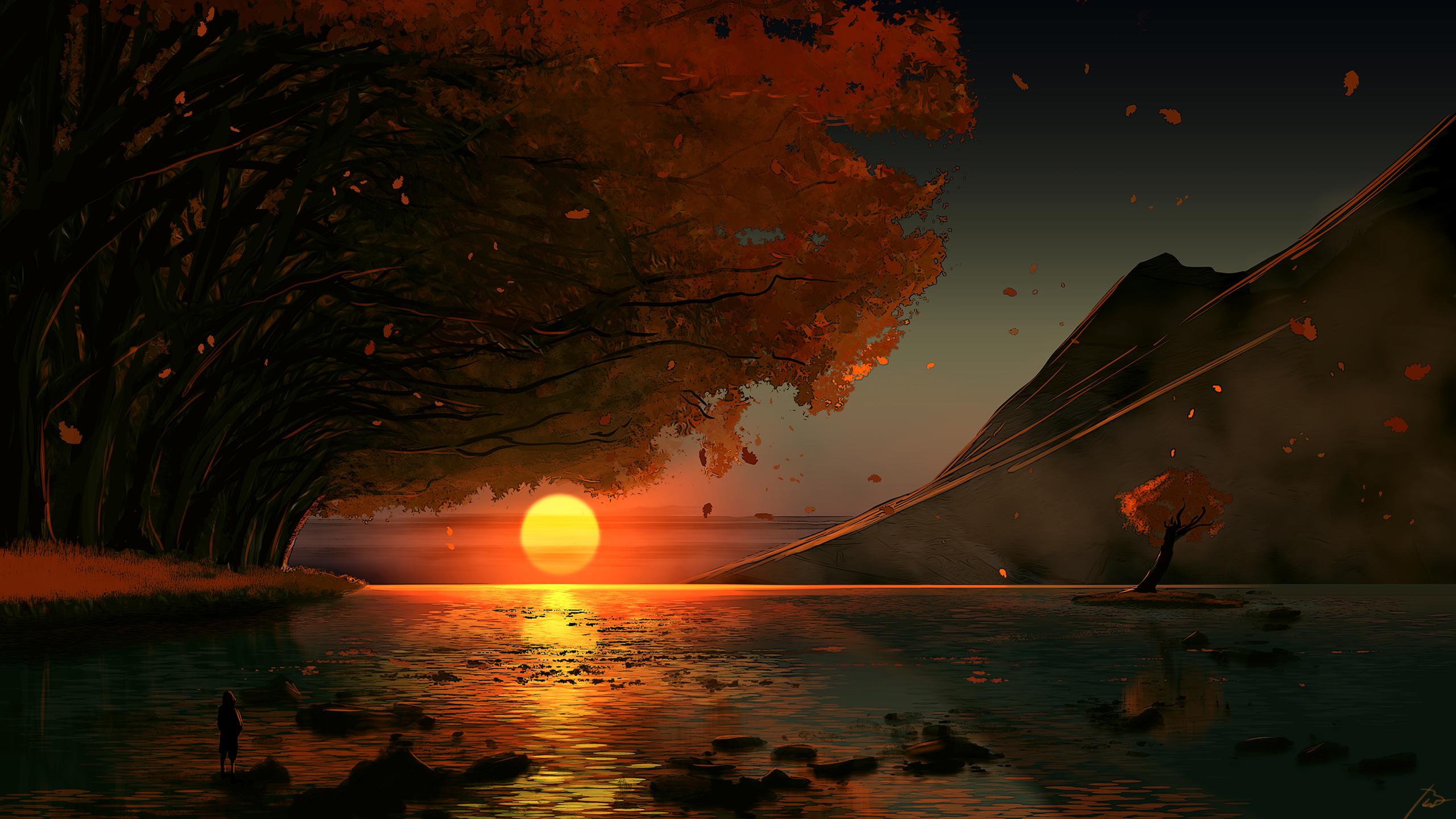 2560x1440 sunset, fallen leaves, Sun, water, petalsx1440 Wallpaper .cc