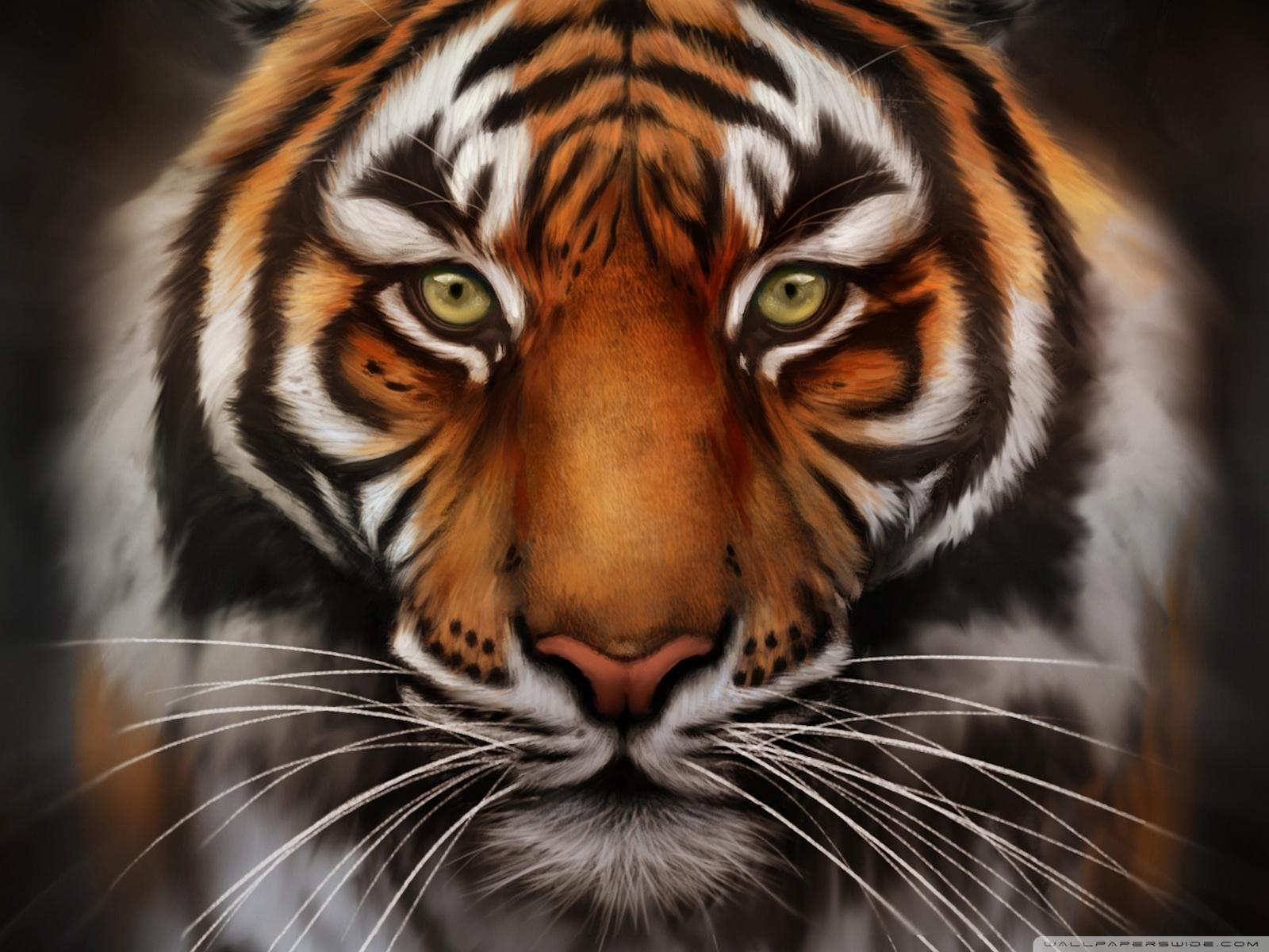 1600x1200 Free download Pin Angry face text meme [1600x1200] for your Desktop, Mobile & Tablet. Explore Angry Tiger Eyes Wallpaper. Beautiful Eyes Wallpaper, Sharingan Eyes Wallpaper, Snake Eyes Wallpaper