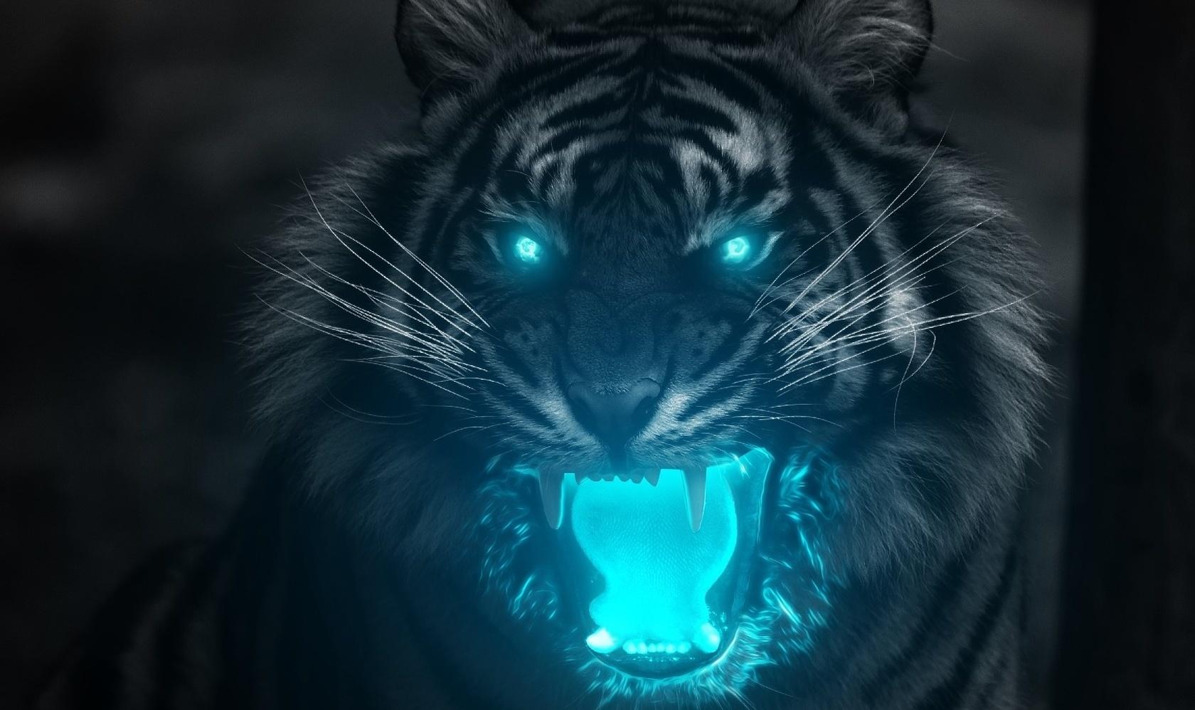 1680x998 Tiger Wallpaper