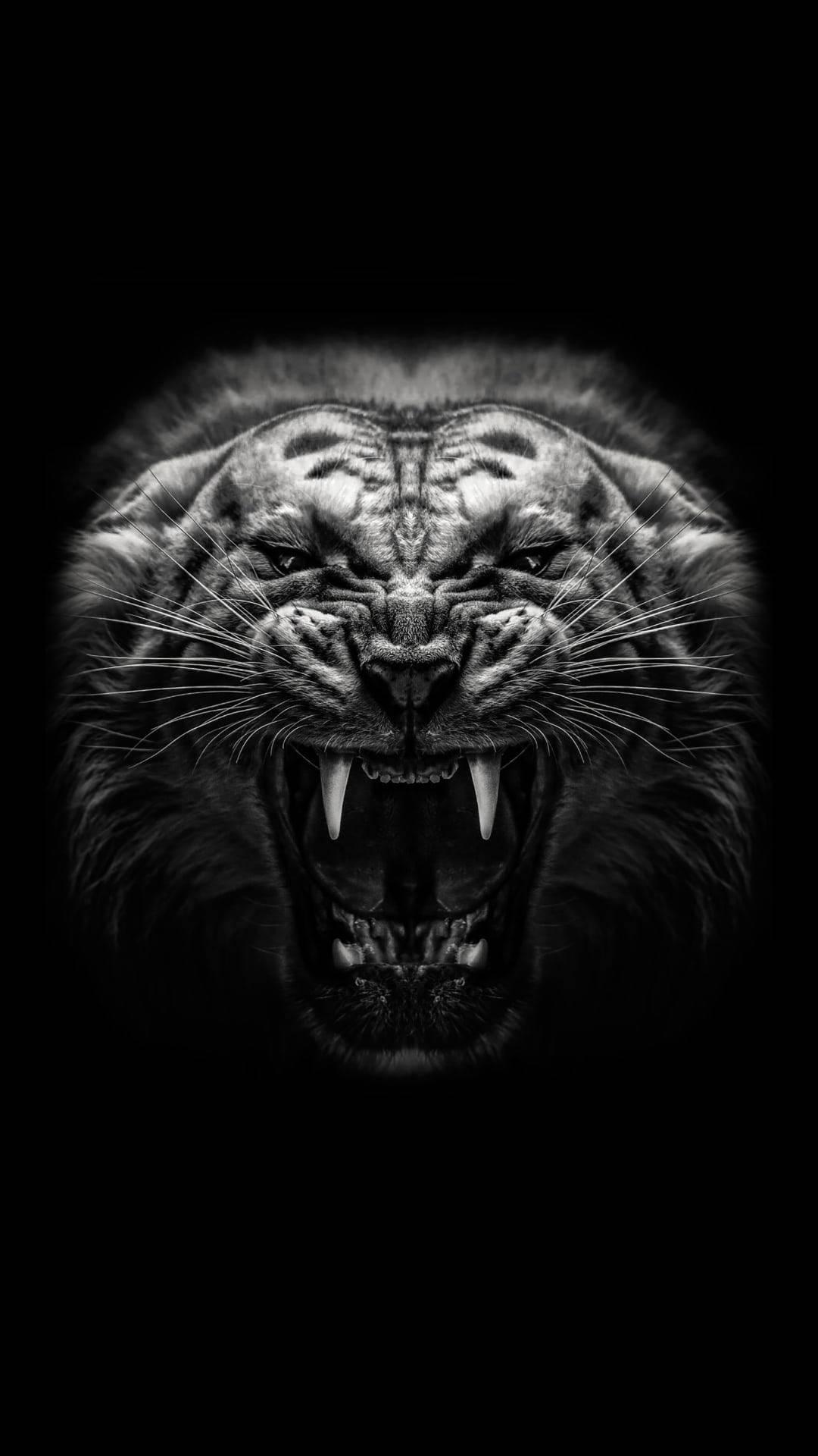 1080x1920 Download Wild And Angry Black Tiger Wallpaper