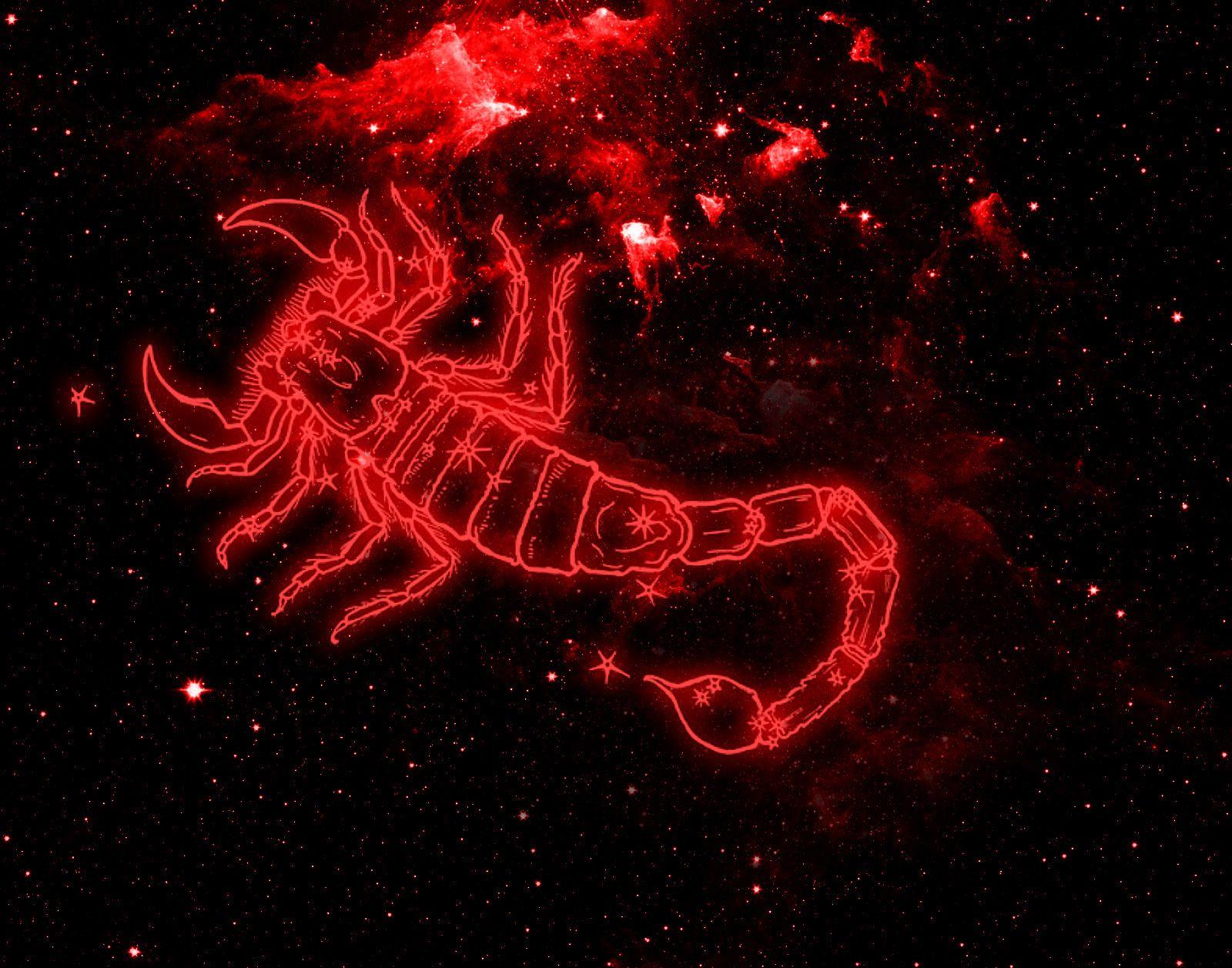 Scorpion Logo Wallpapers - Top Free Scorpion Logo Backgrounds ...