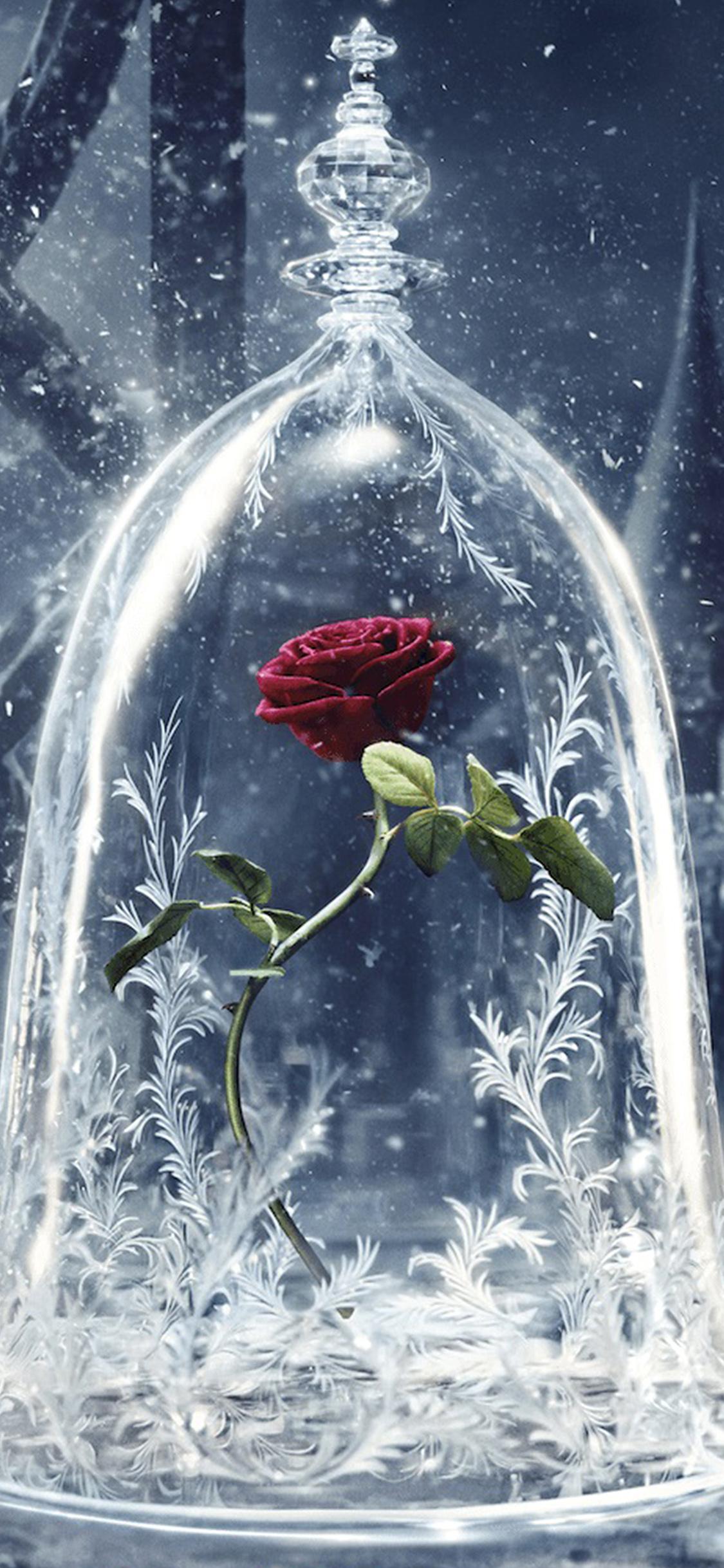 1125x2436 iPhone X wallpaper. disney beauty beast art illustration