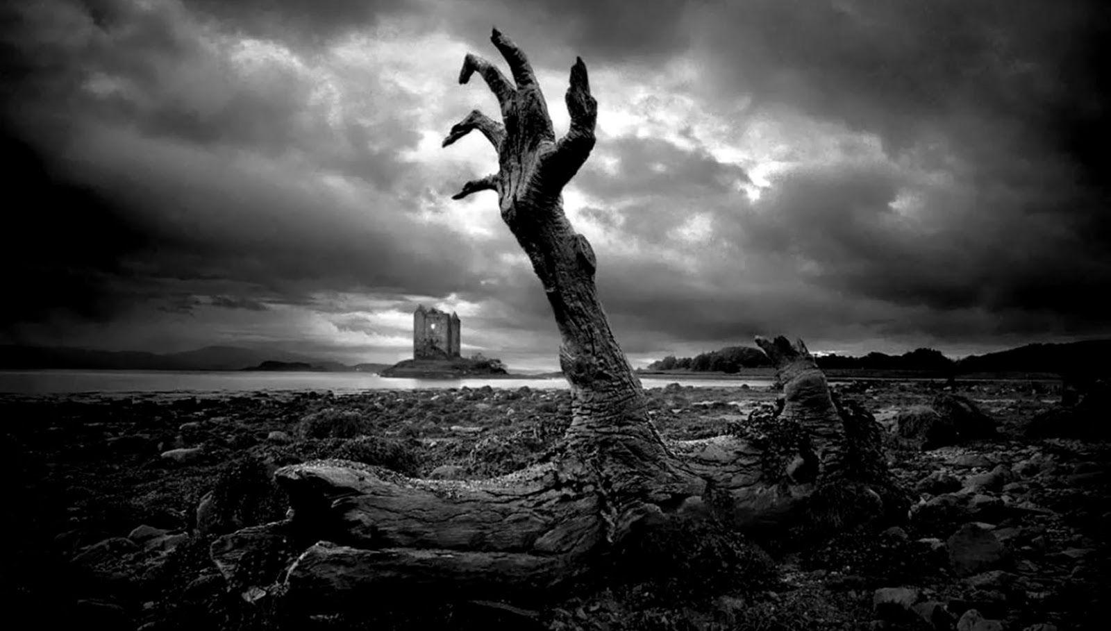 1600x909 Wallpaper HD 1080P Black And White Zombie