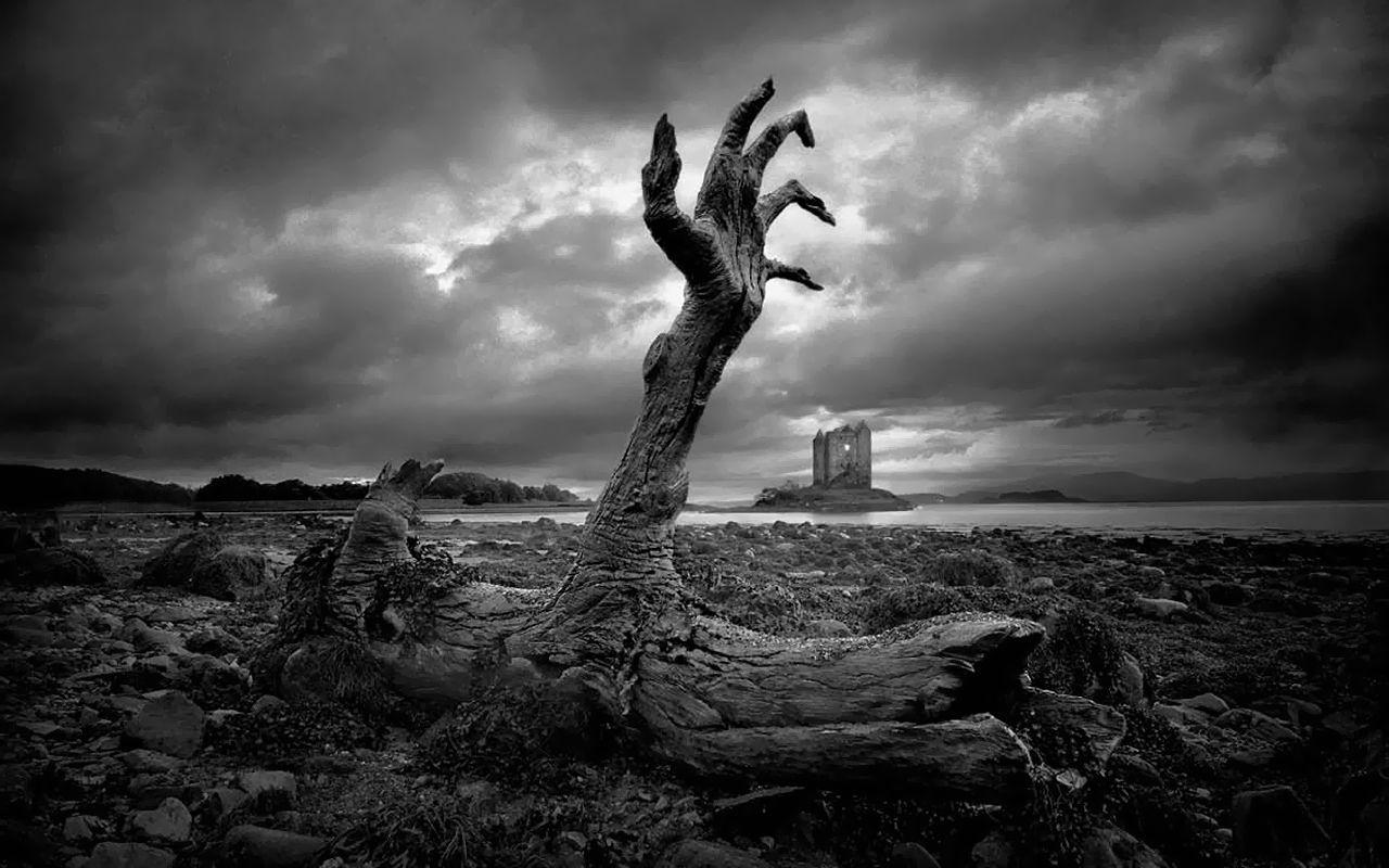 1280x800 Zombie Hand Wallpaperx800