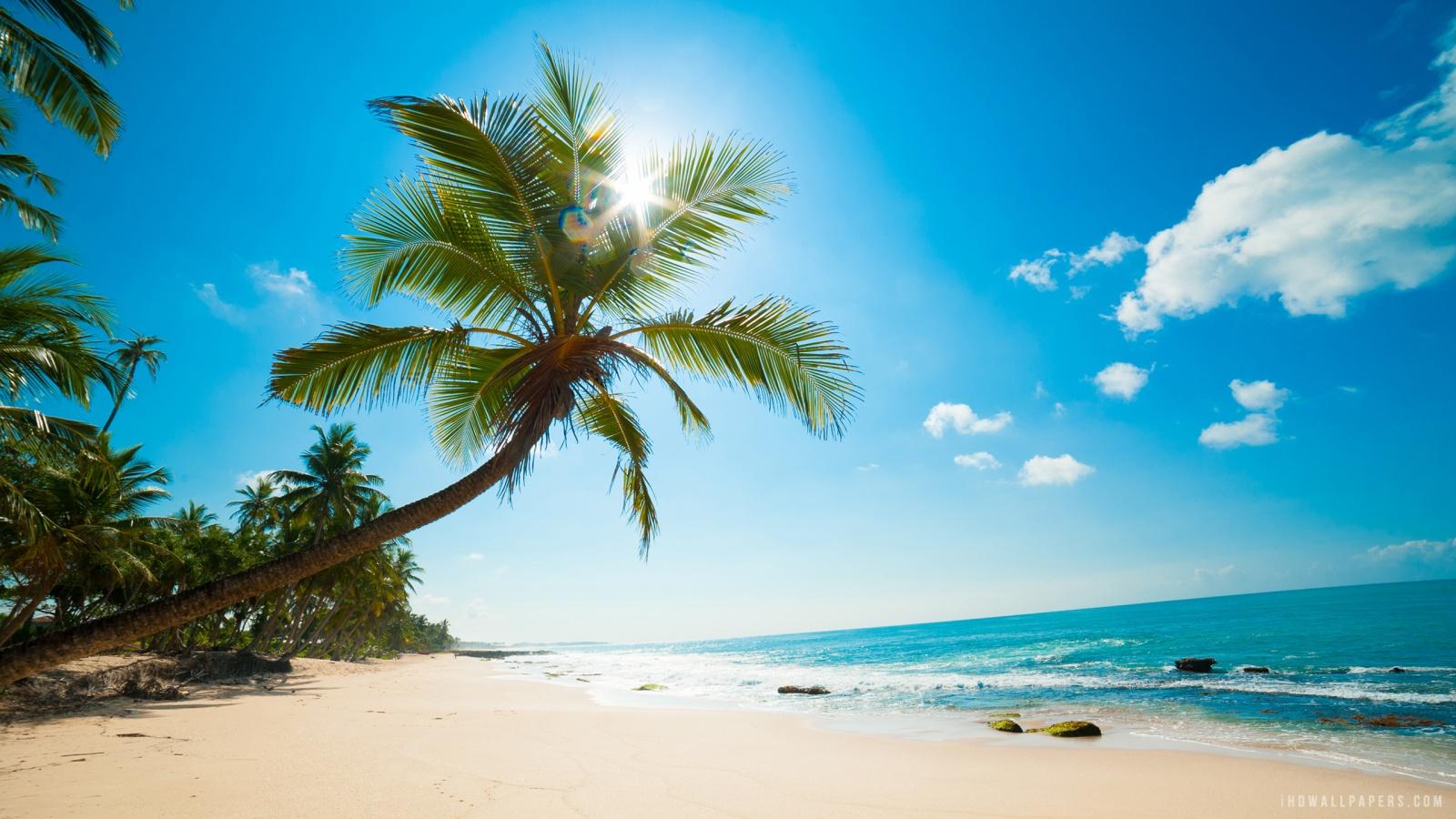 1600x900 Free download Caribbean Beach HD Wallpaper iHD Wallpaper [1600x900] for your Desktop, Mobile & Tablet. Explore Caribbean Beach Wallpaper Free. Free Caribbean Beach Wallpaper, Free Wallpaper Caribbean, Caribbean Beach Image Wallpaper