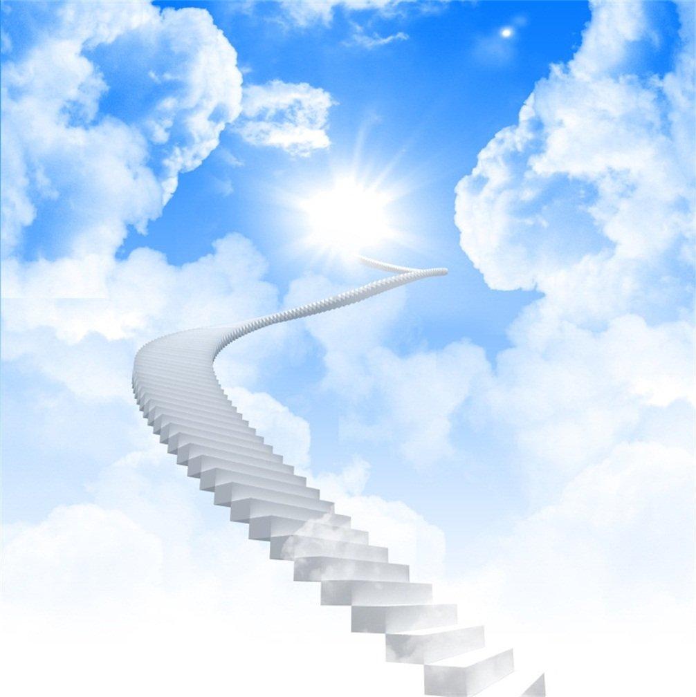 1006x1008 Amazon.com : CSFOTO 5x5ft Background for Stairs in Sky Paradise Heaven Sunlight Cloud God Belief Holy Up Climb Dream Photography Backdrop Spiritual Staircase Success Photo Studio Props Portrait Wallpaper