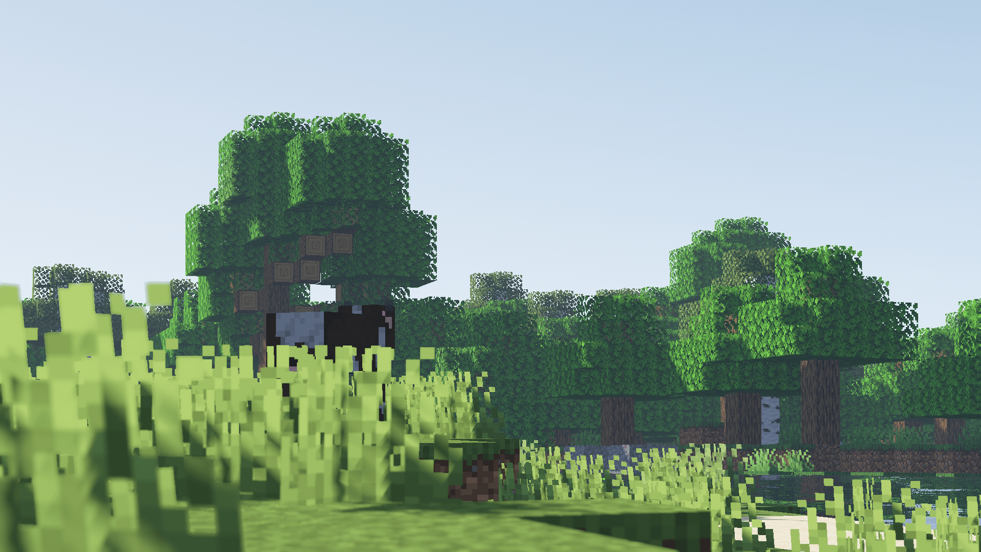 1920x1080 Minecraft Trees Shaders Plants Cow Sheep Forest Sky Oak Birch 3D Blocks Wallpaper:1920x1080