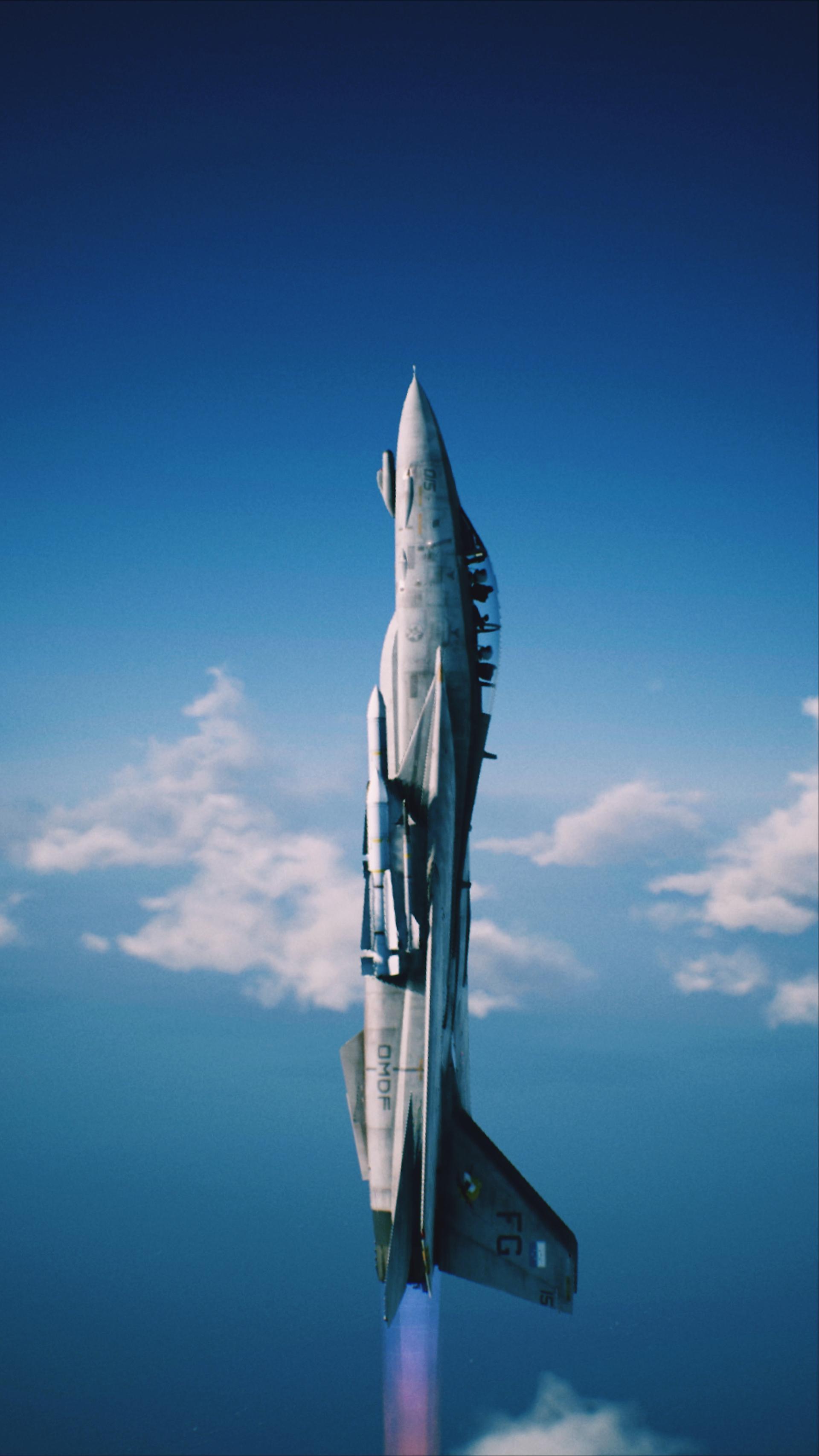 1920x3414 Ace Combat 7 Phone Wallpaper