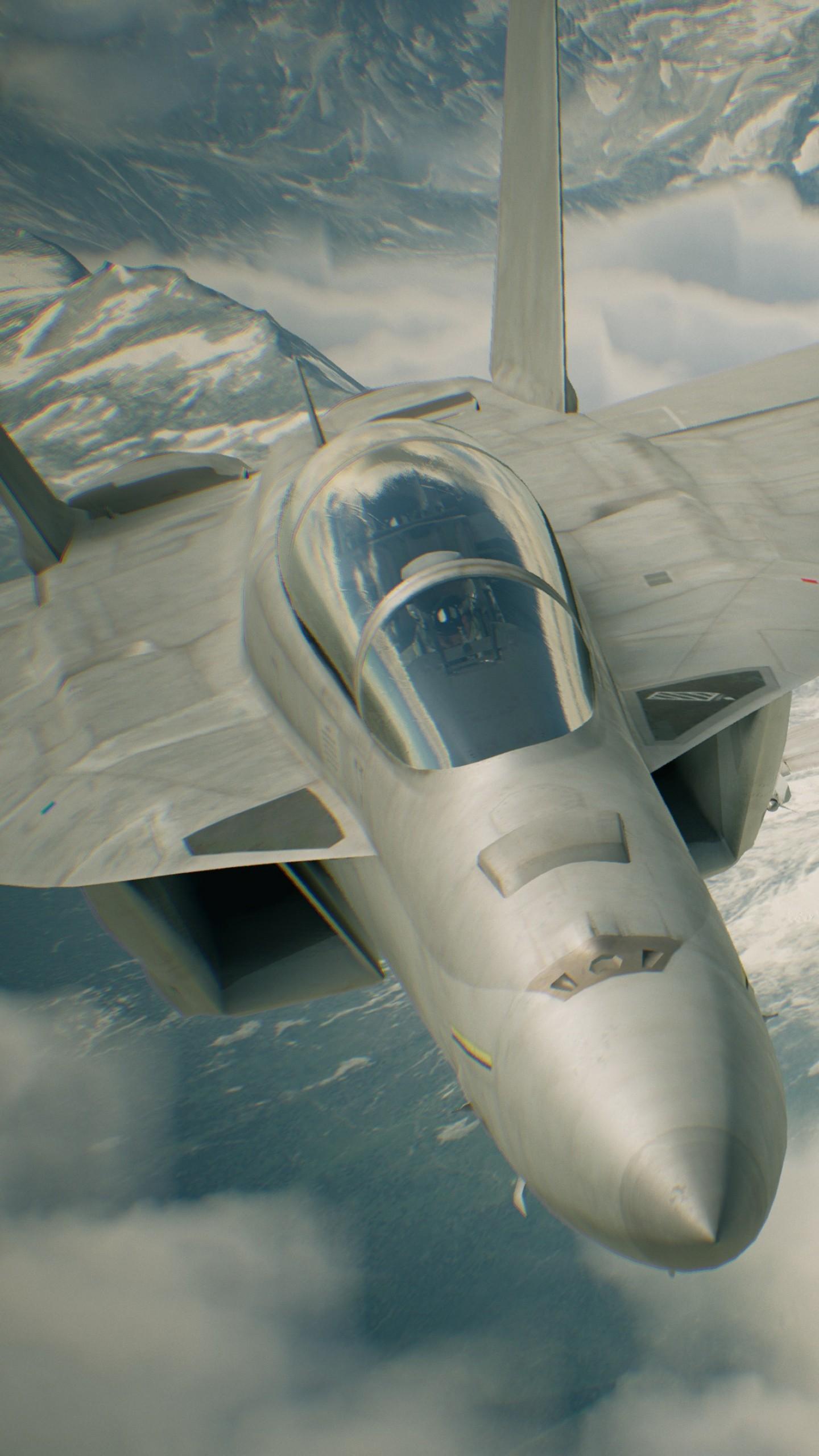 1440x2560 Wallpaper Ace Combat Skies Unknown, best games, PC, PS Xbox One, Games