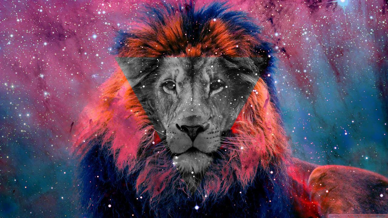 Ultra Lions, lion attitude HD phone wallpaper | Pxfuel