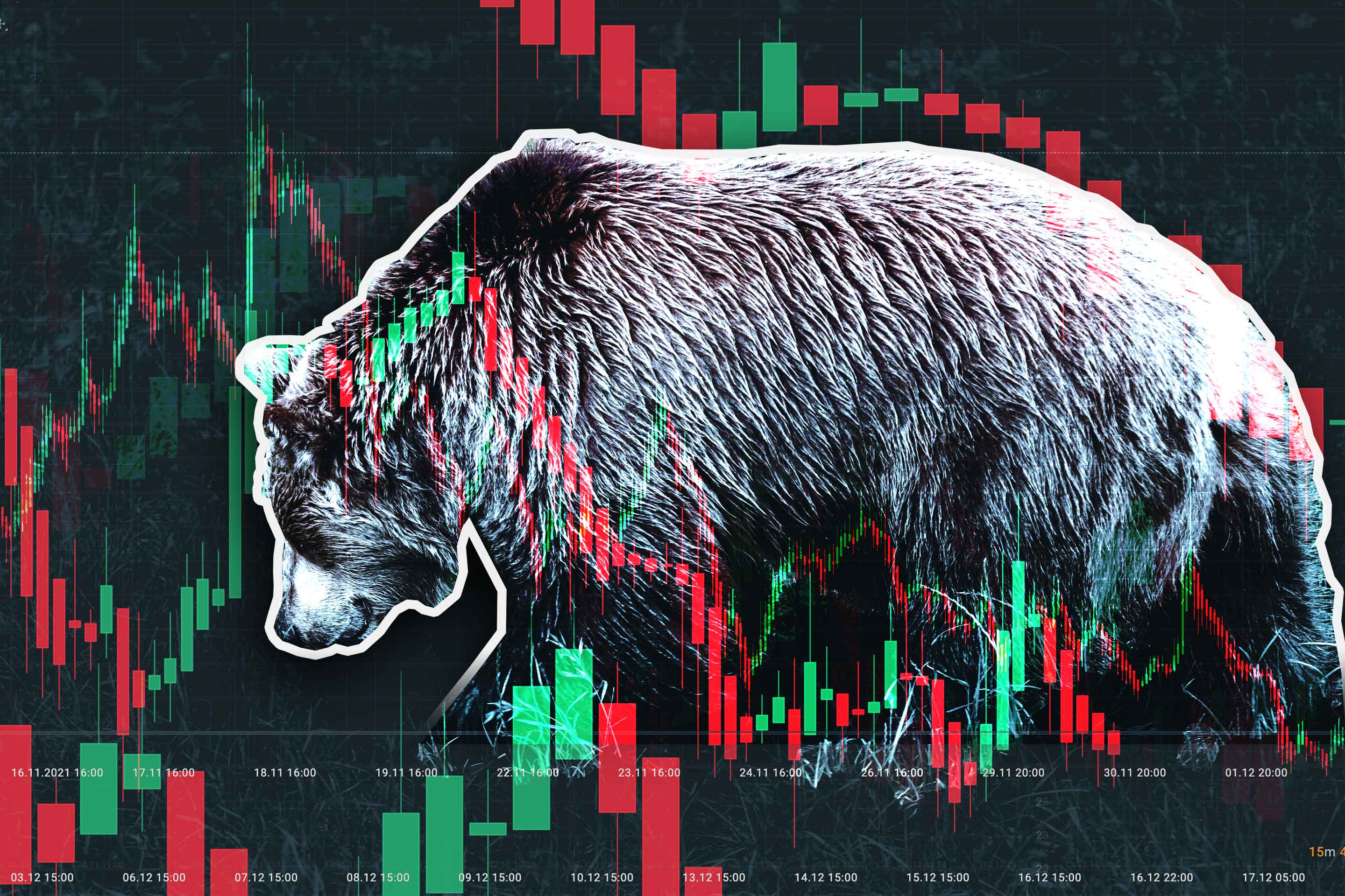 Bear Market Wallpapers - Top Free Bear Market Backgrounds - WallpaperAccess